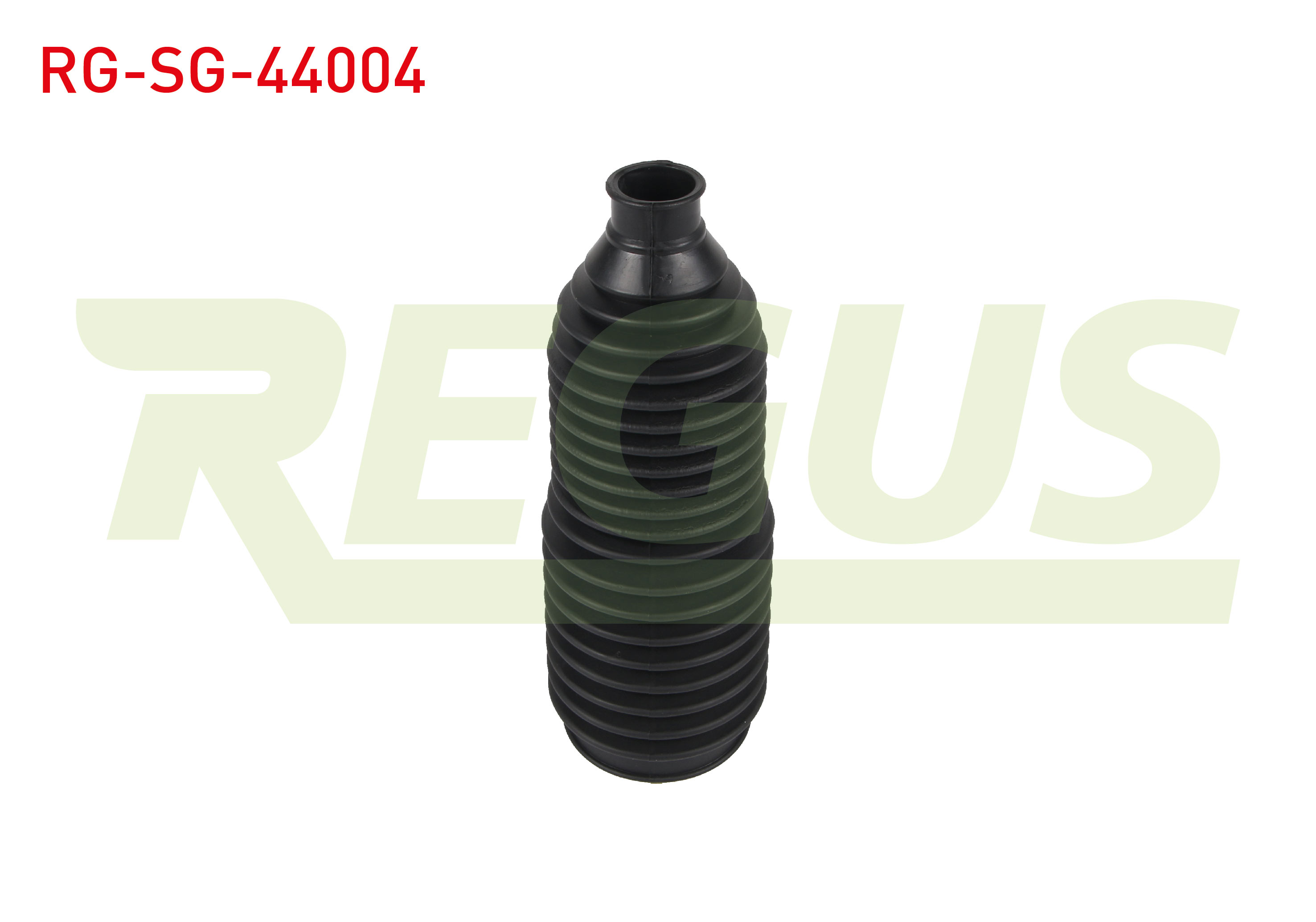 REGUS 