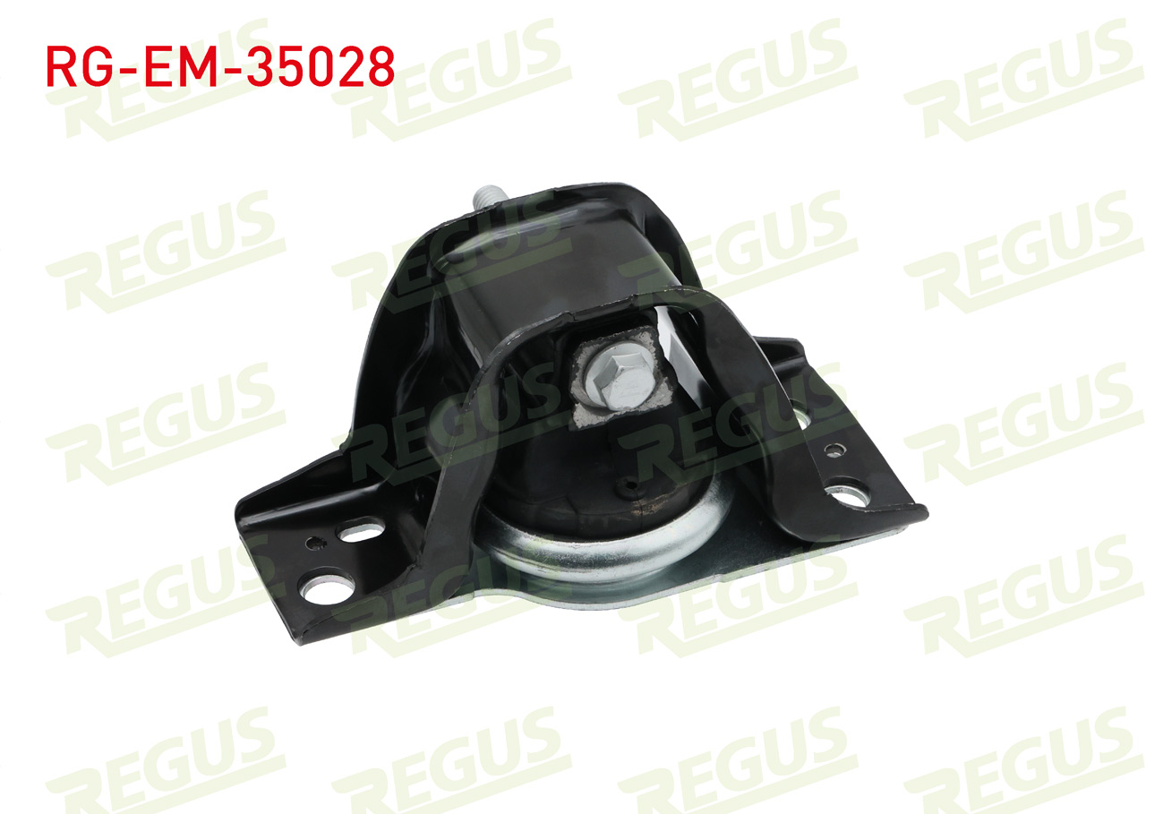 REGUS 