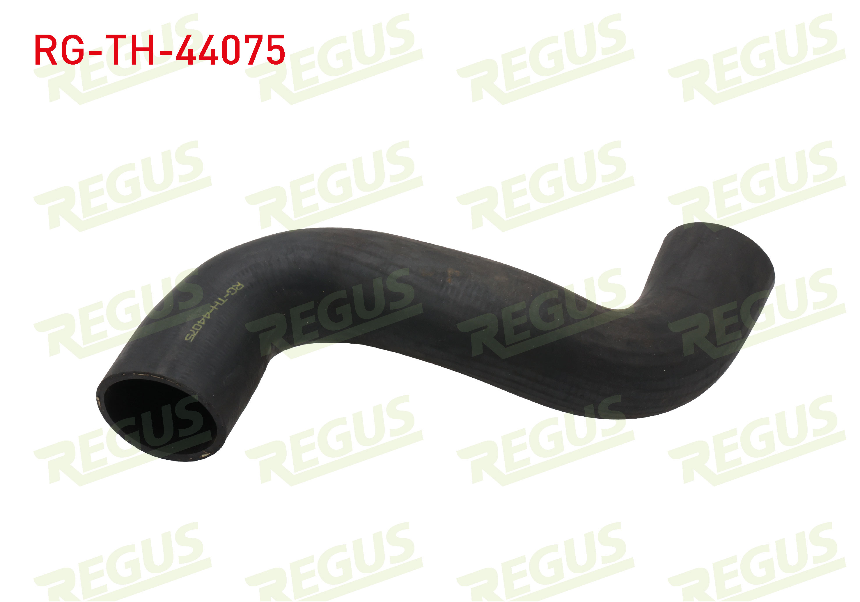 REGUS 