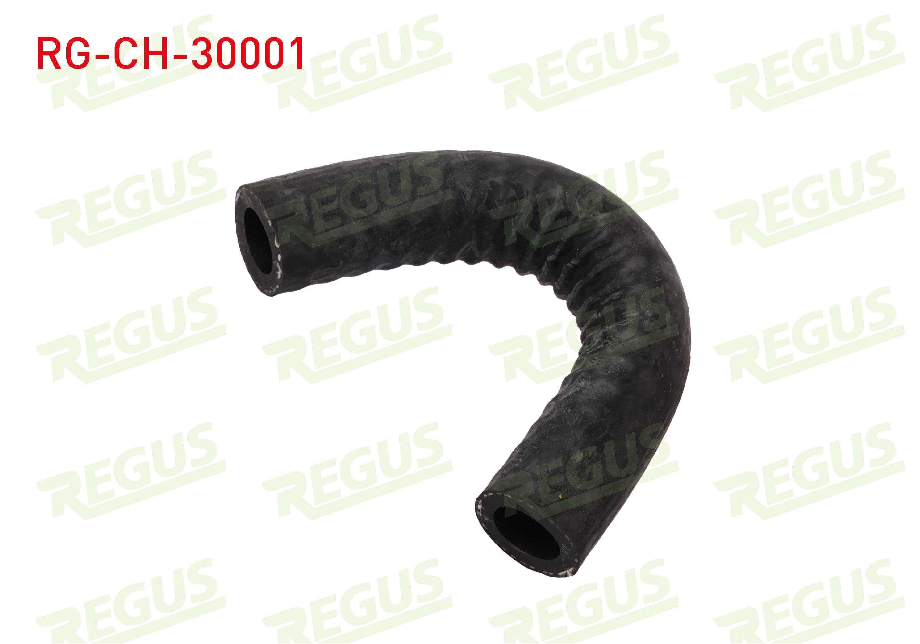 REGUS 18413