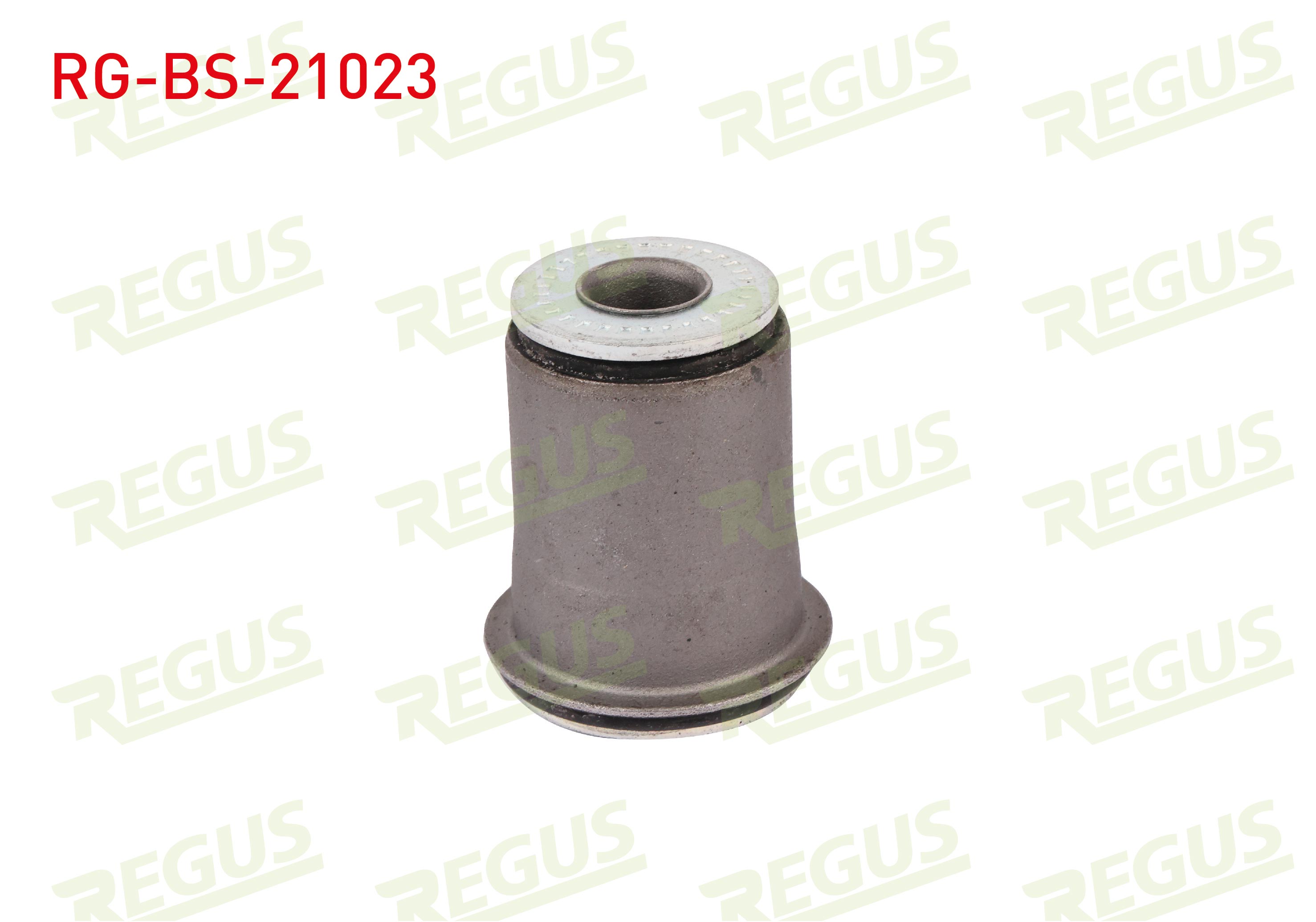 REGUS 