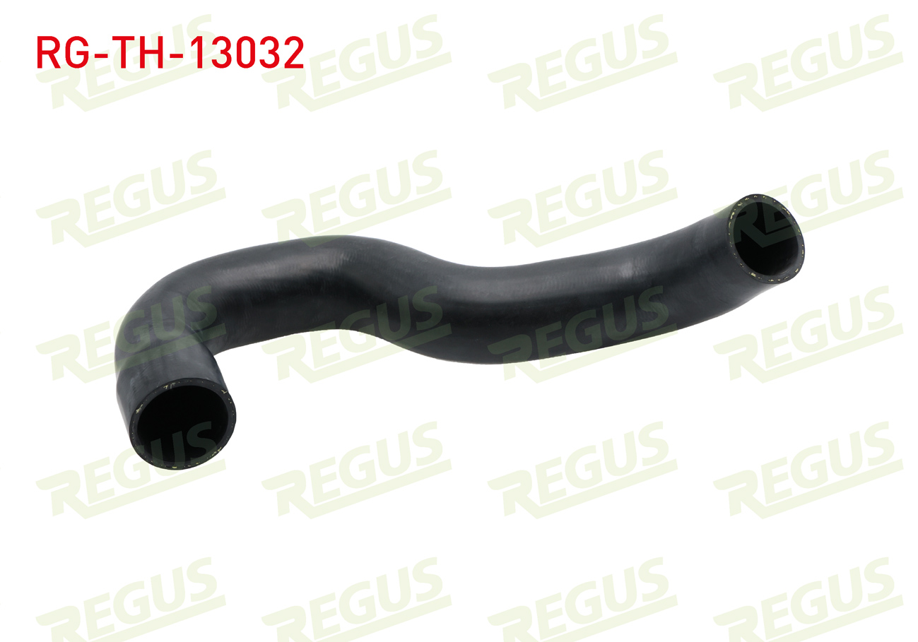 REGUS 27160