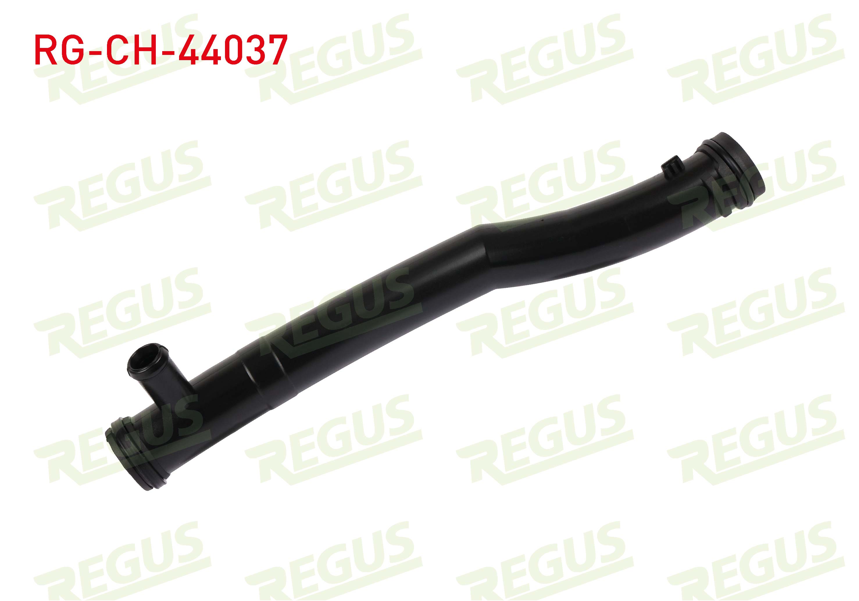 REGUS 
