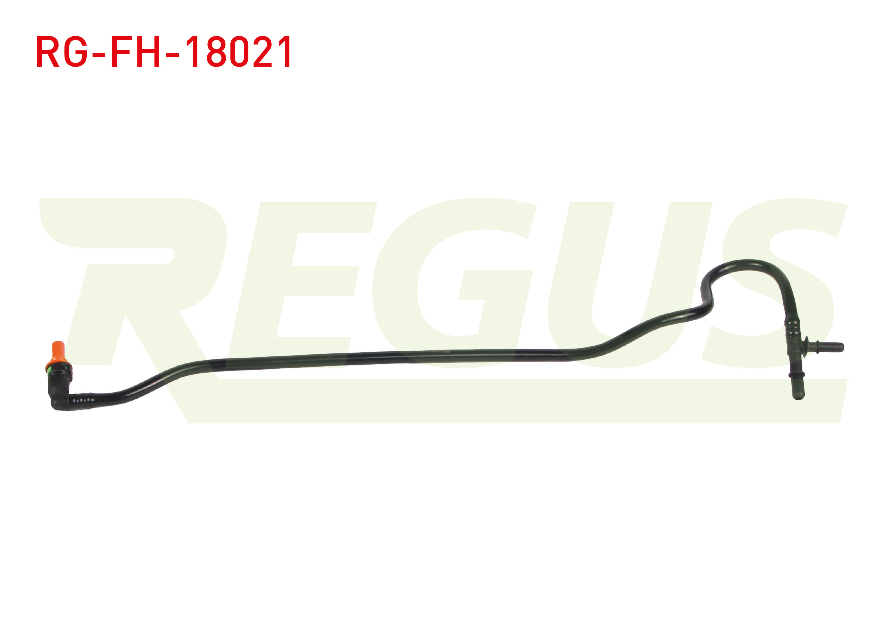 REGUS 