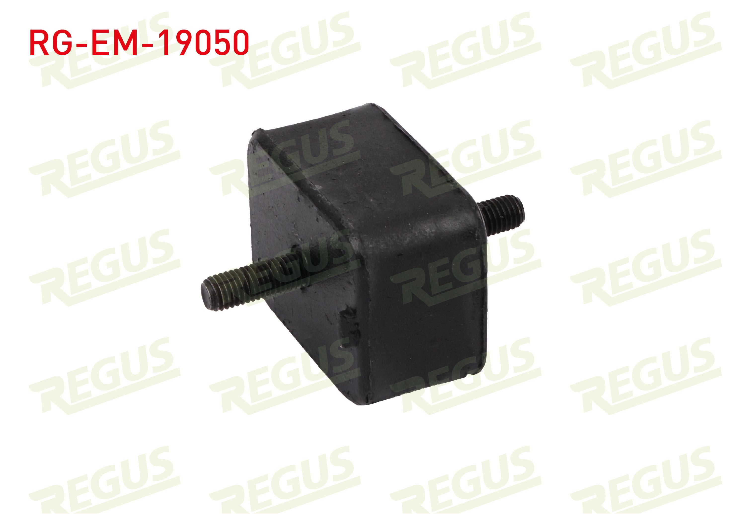 REGUS 61-12002