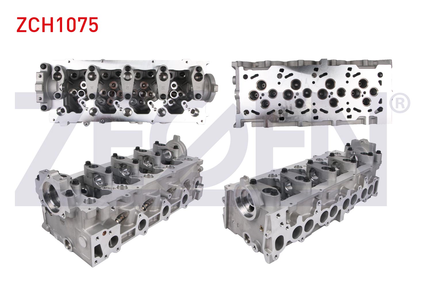 ZEGEN 908773