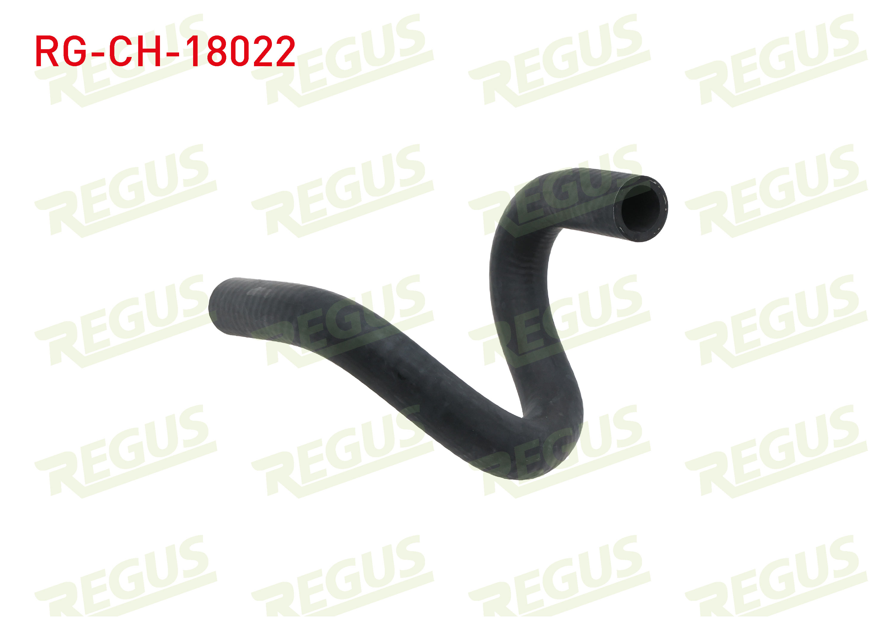 REGUS 14829
