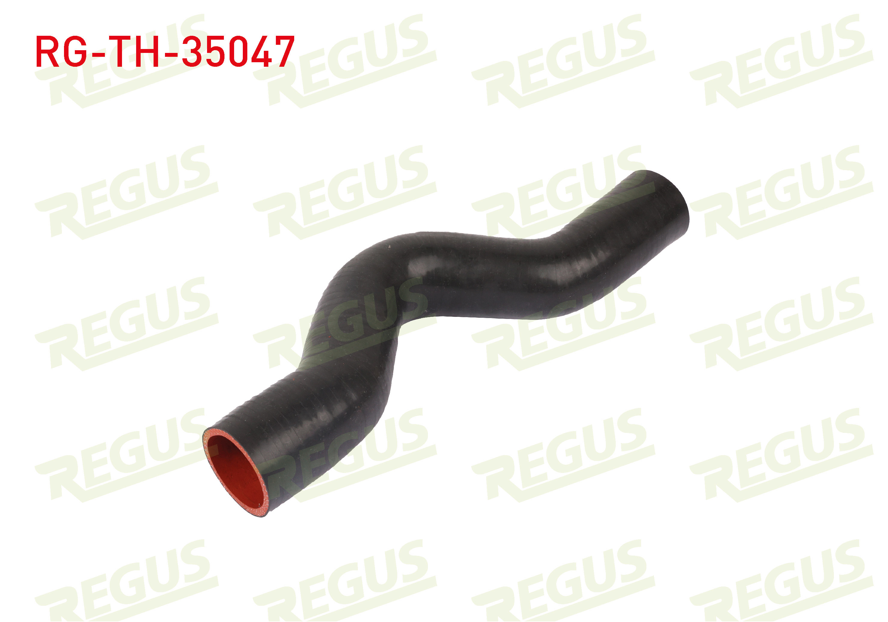 REGUS 
