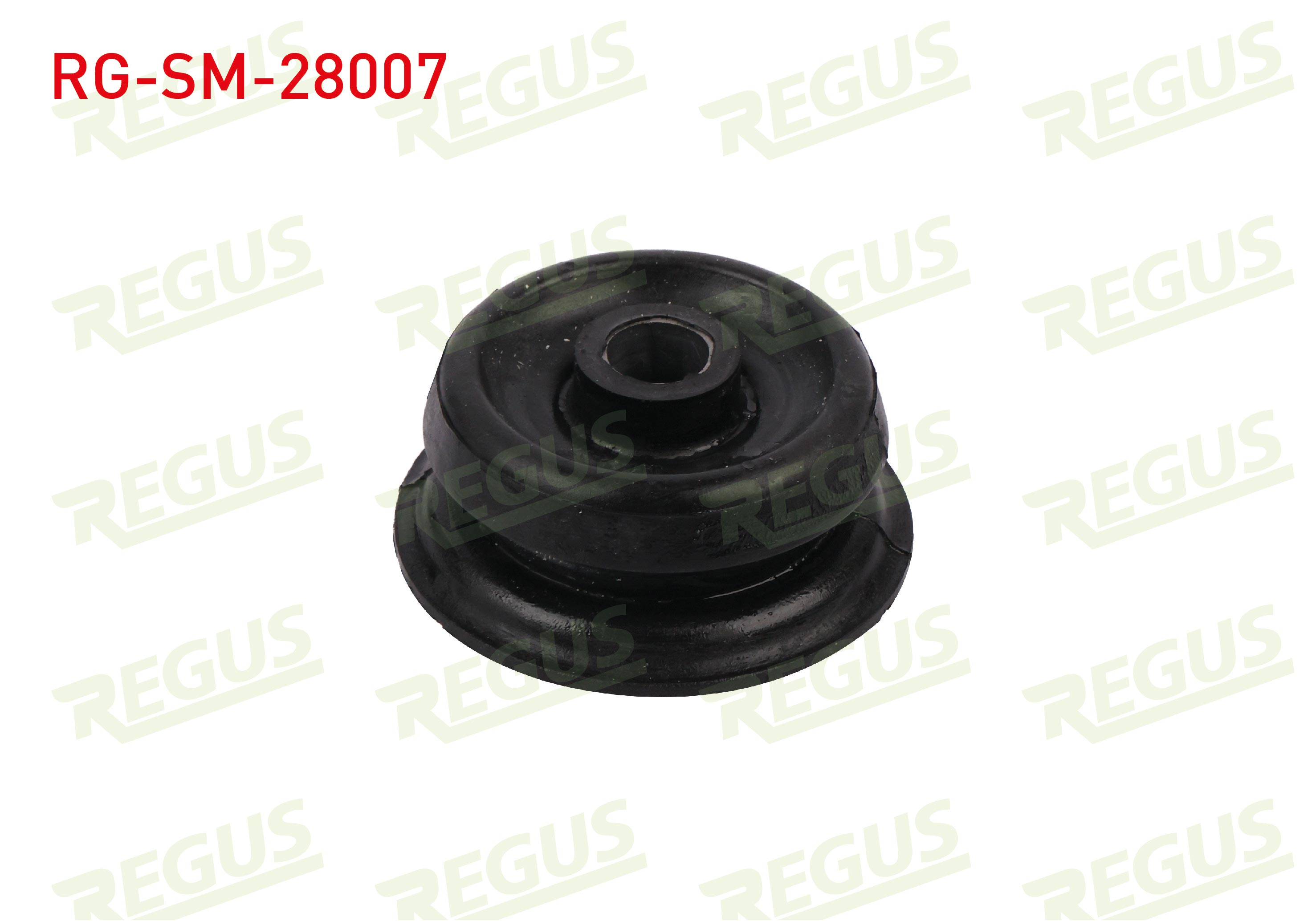 REGUS 10873