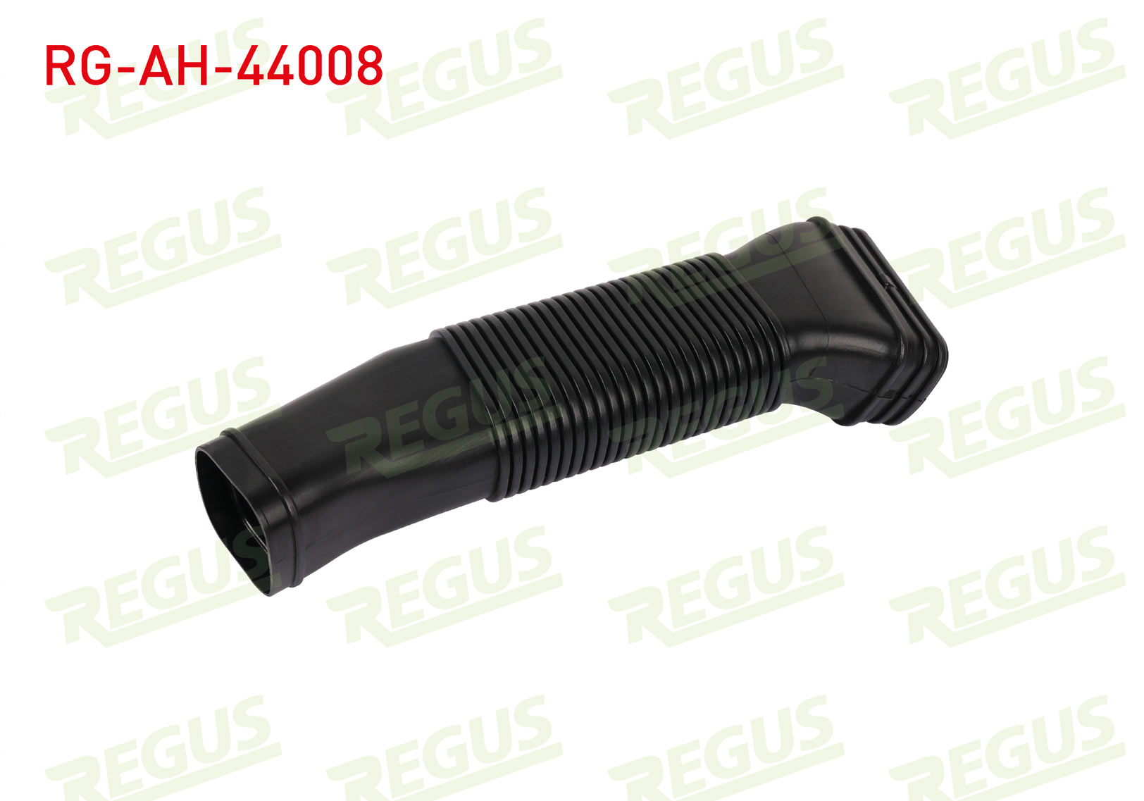 REGUS 