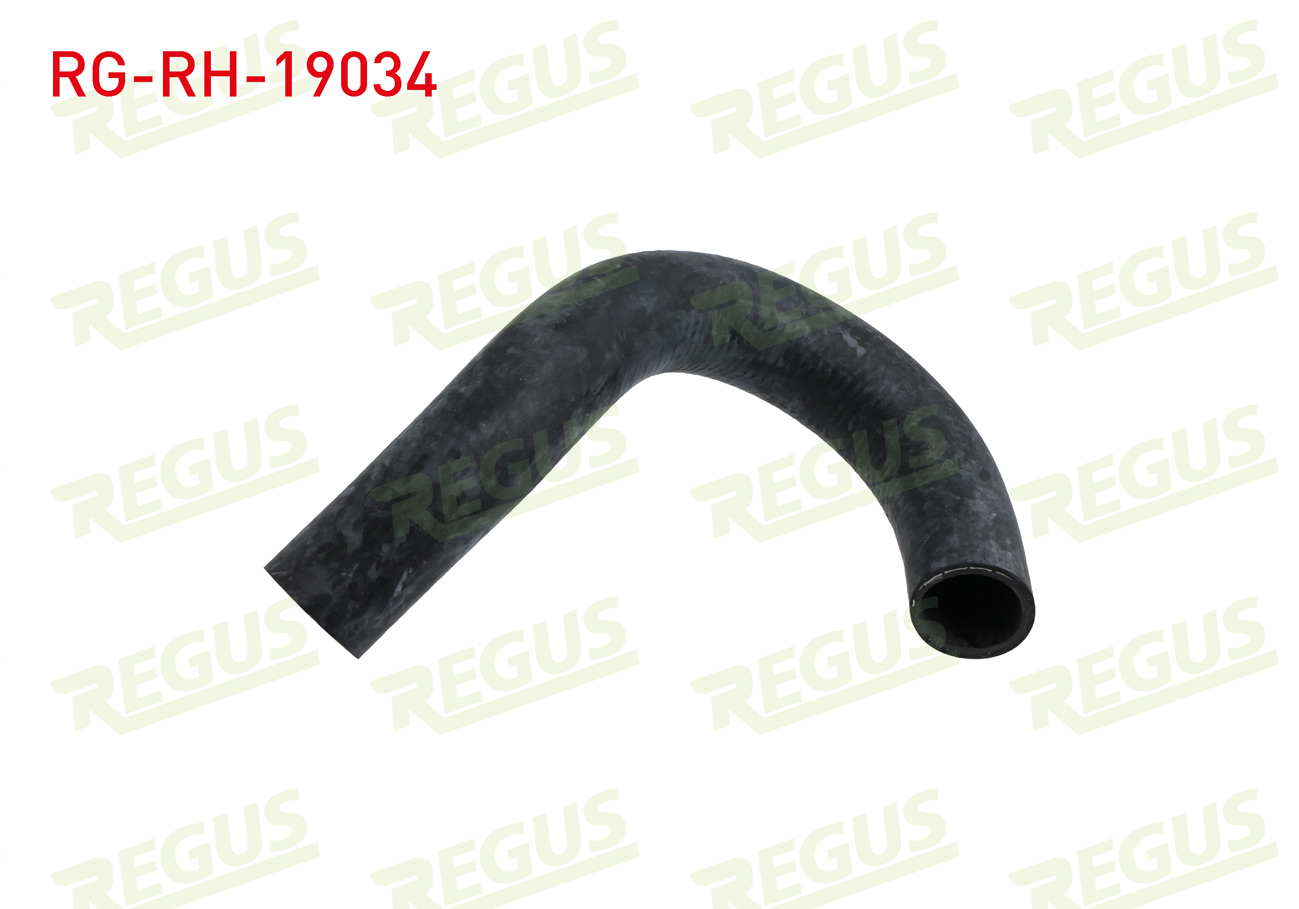 REGUS 19613