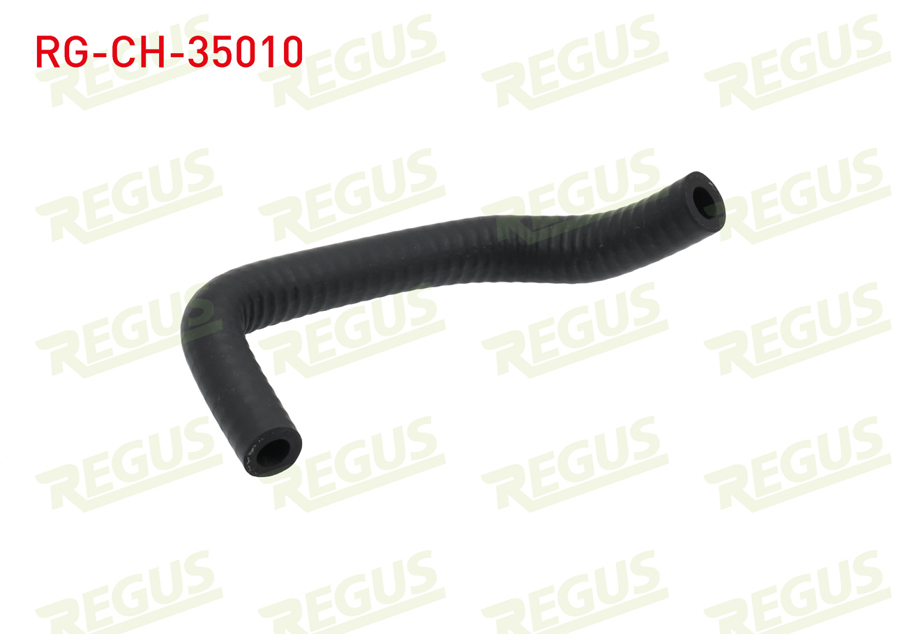 REGUS 11113