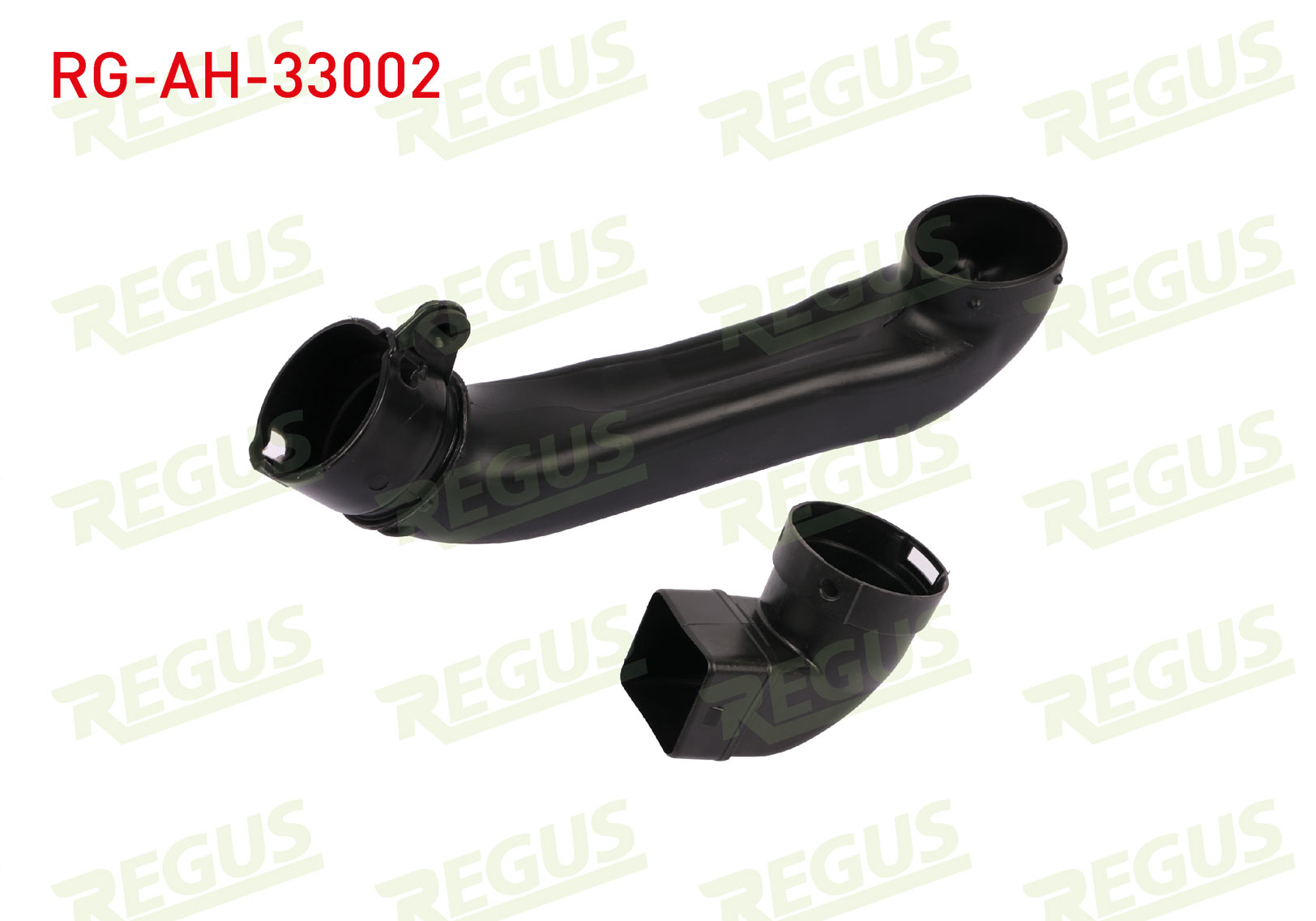 REGUS 