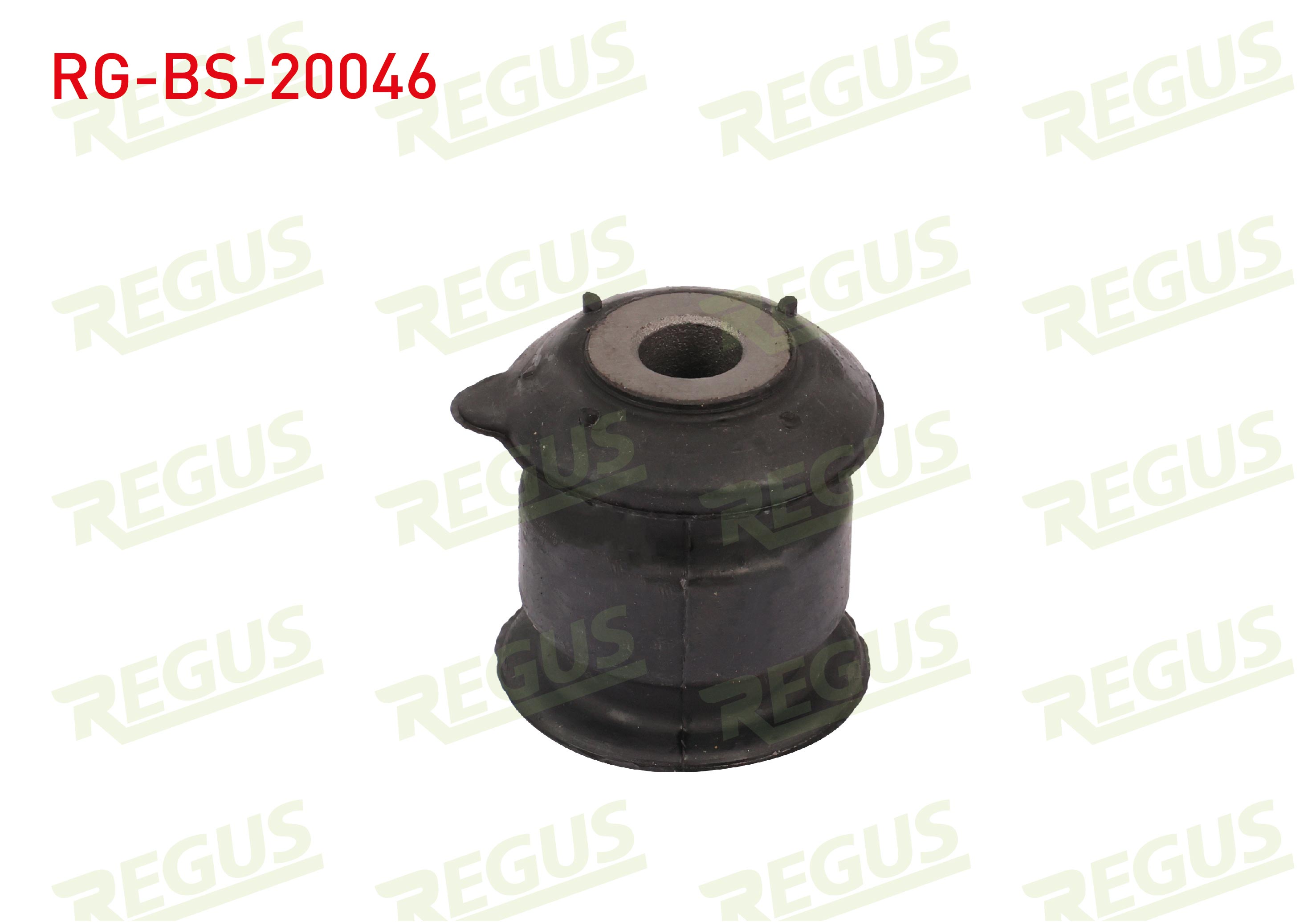 REGUS 57-11021
