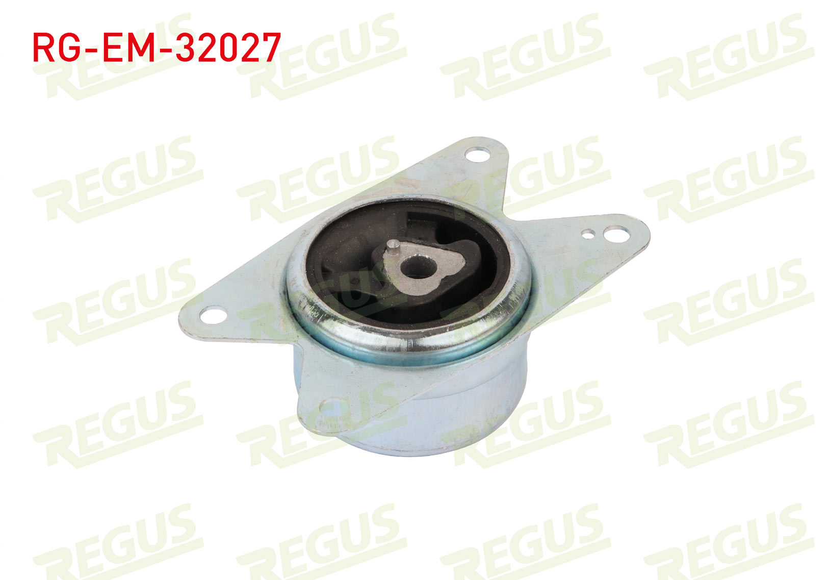 REGUS 29898