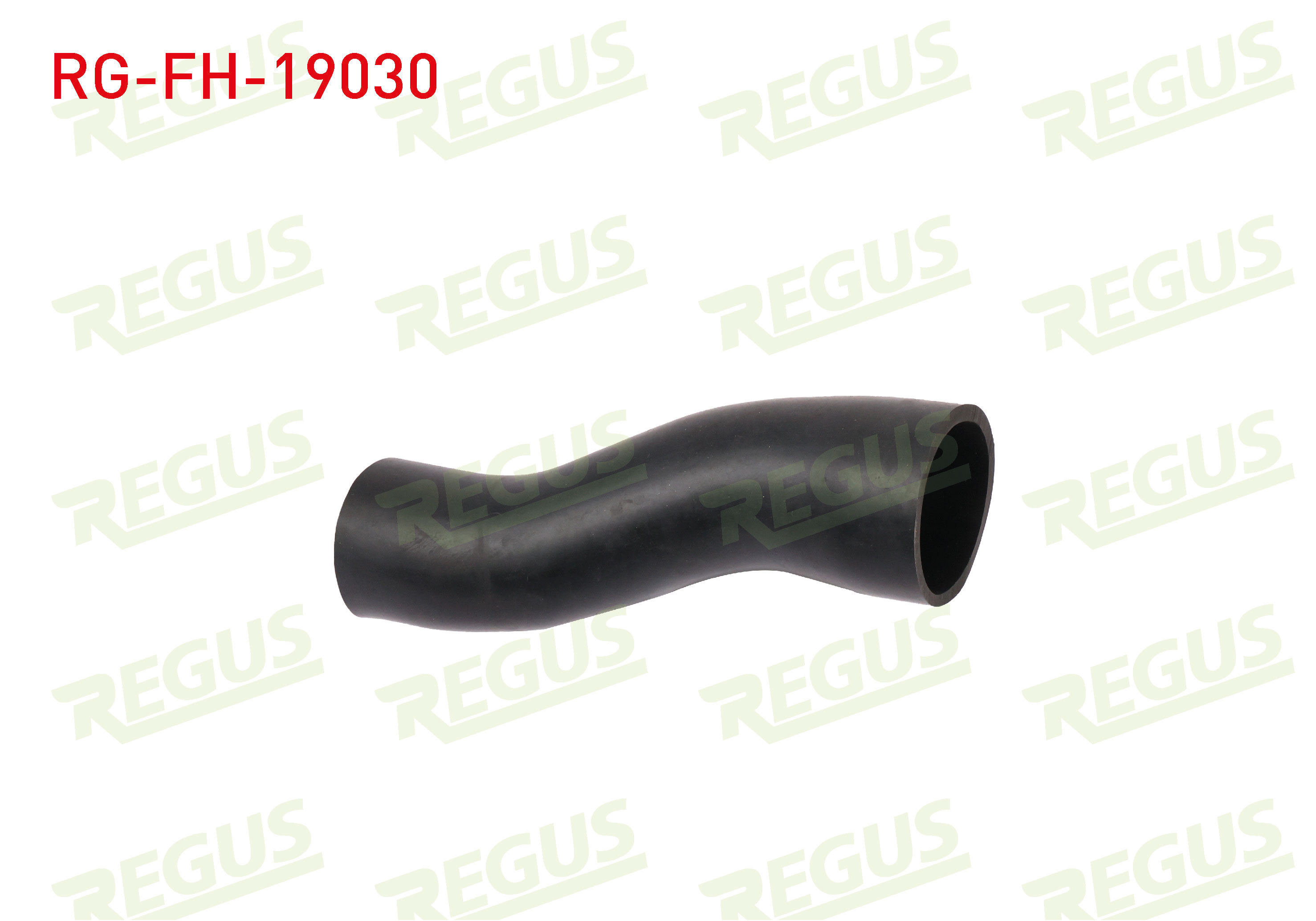 REGUS 19863