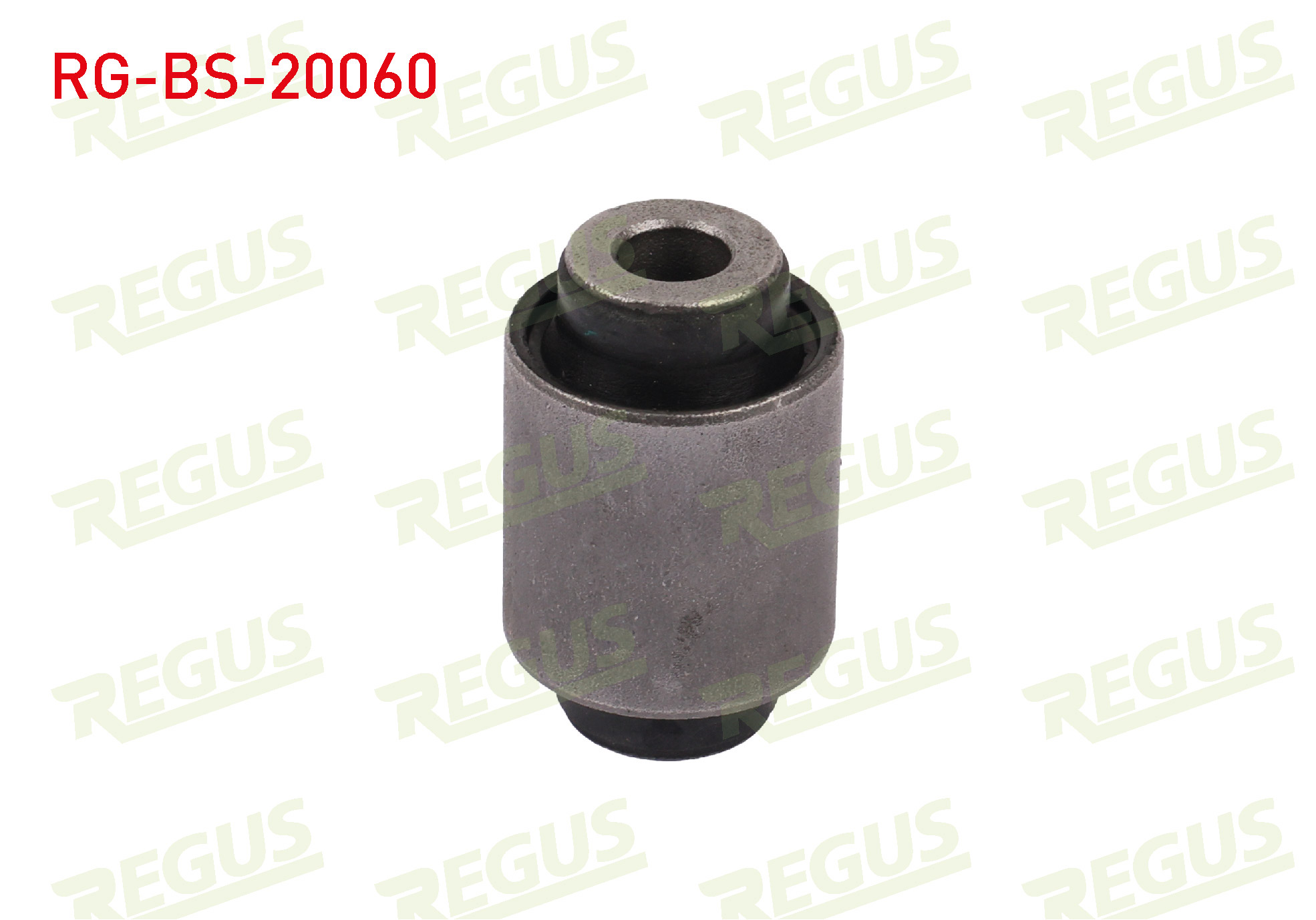 REGUS 57-13894