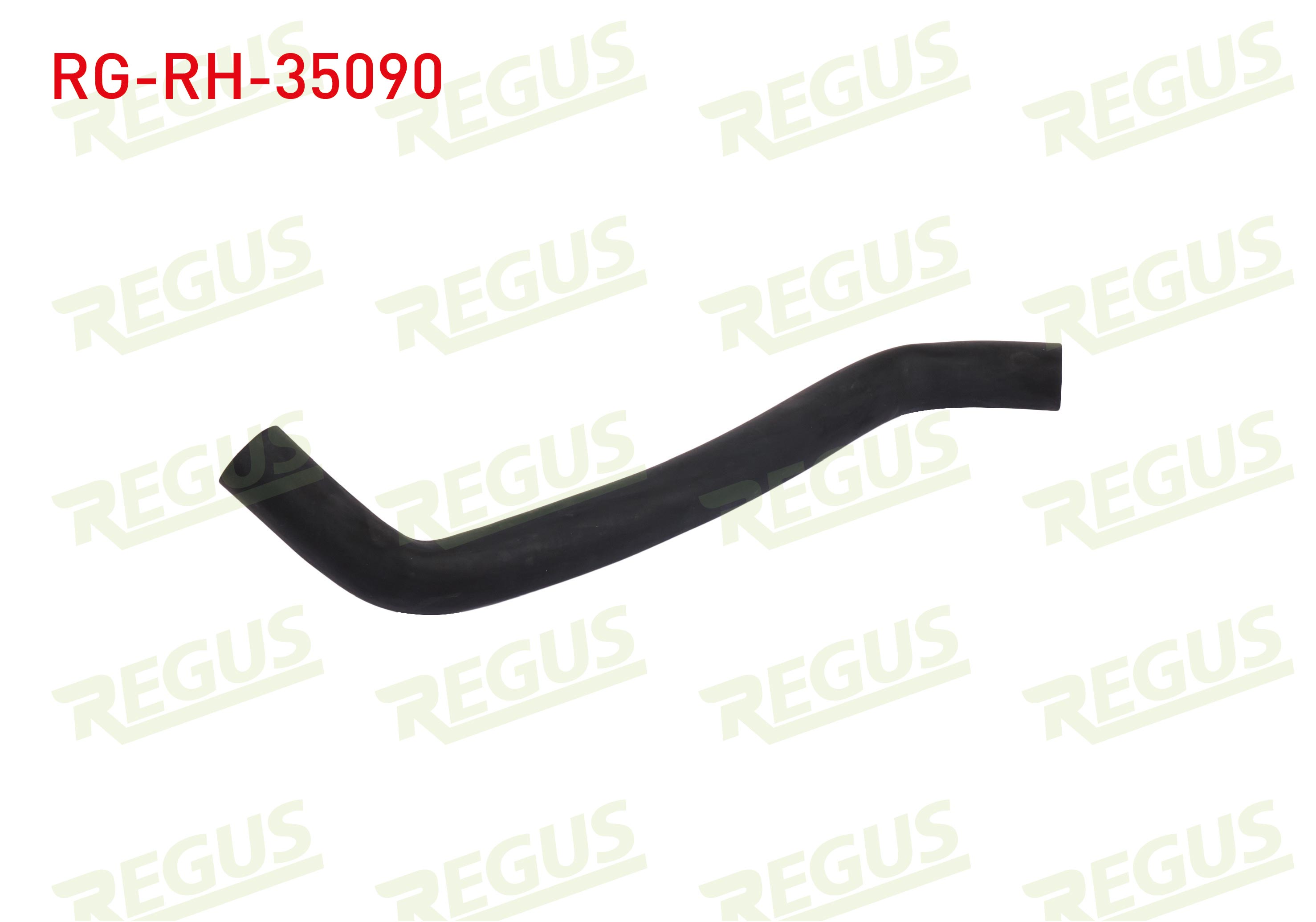 REGUS 11562