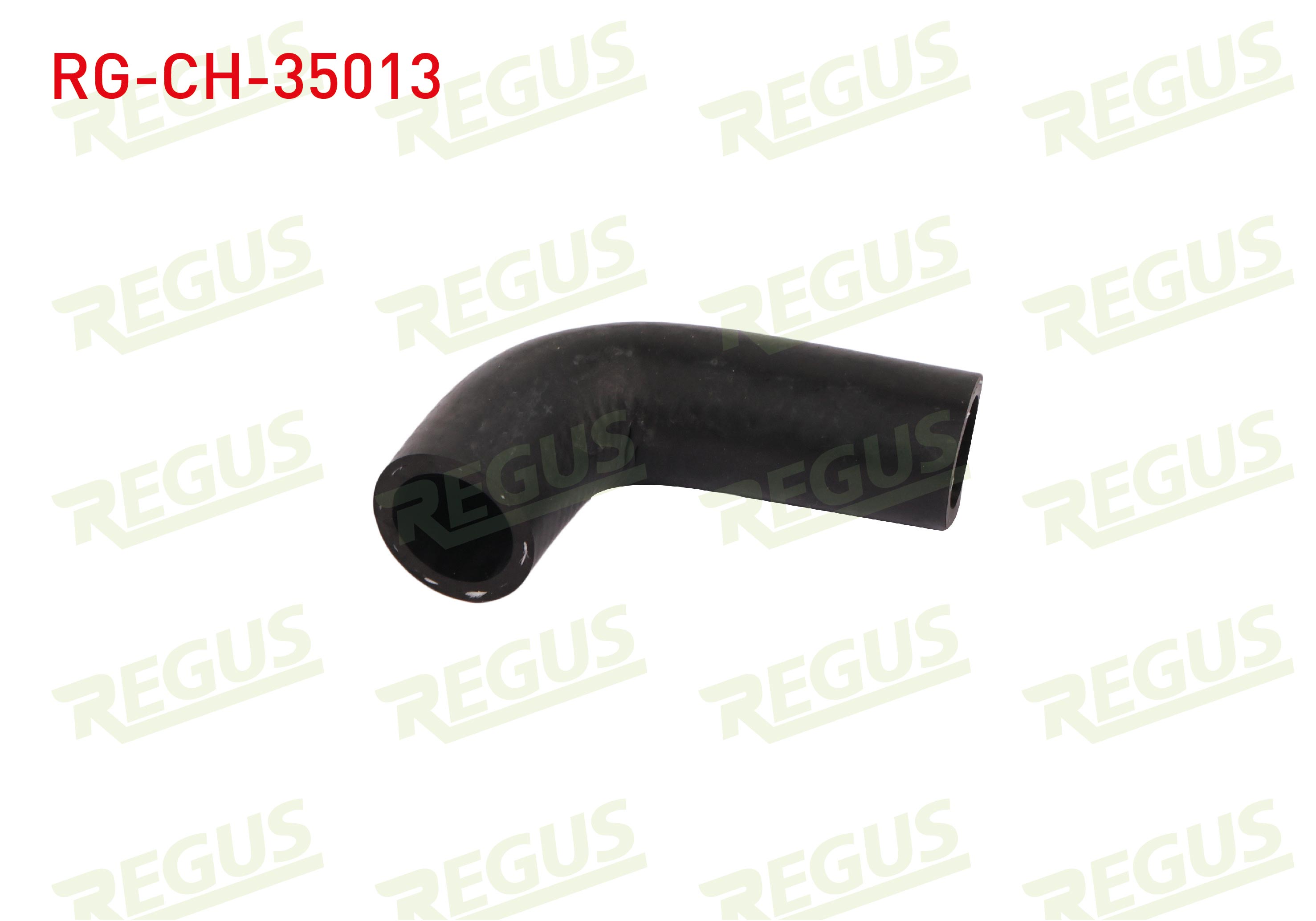 REGUS  | SU HORTUMU RENAULT R21 (B48,L48) 2.0 1986-1993