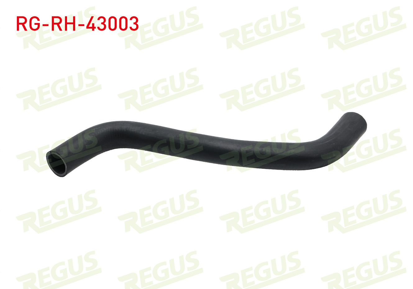REGUS 22002