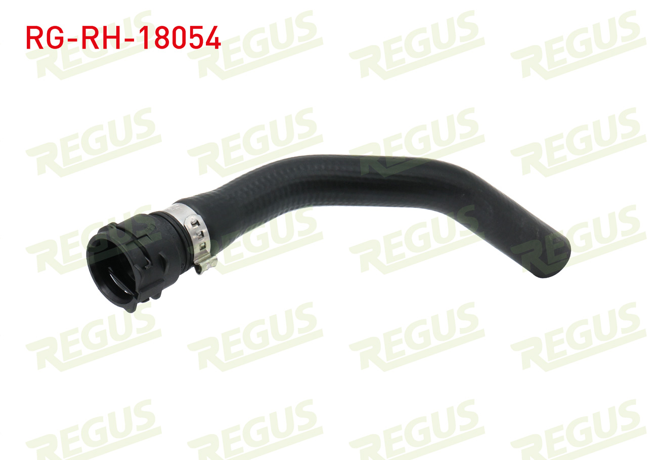 REGUS 15278