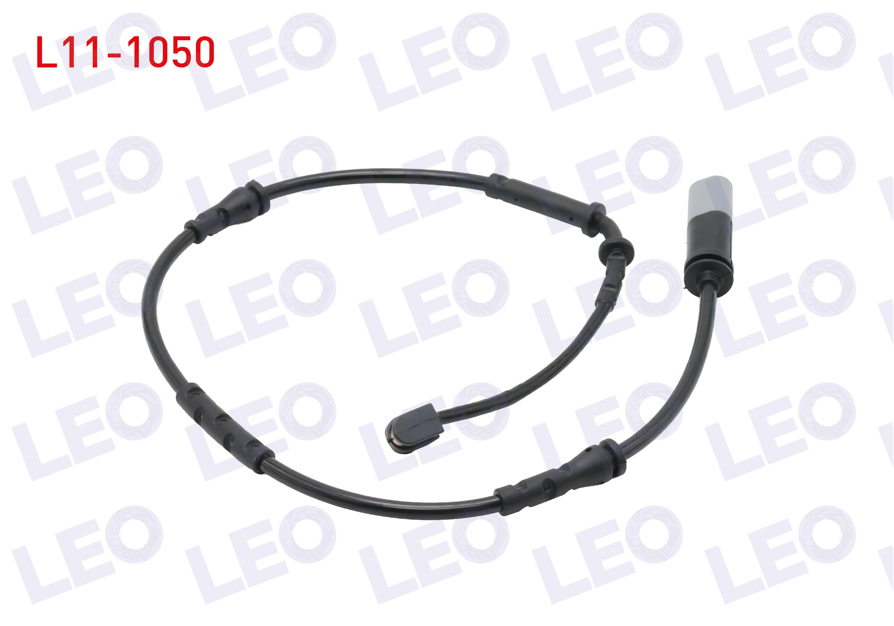 LEO 