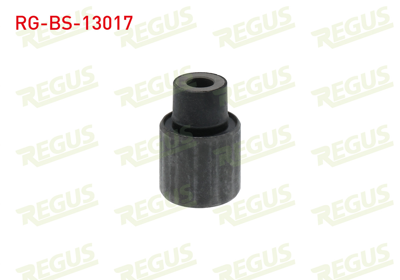 REGUS 65-09386