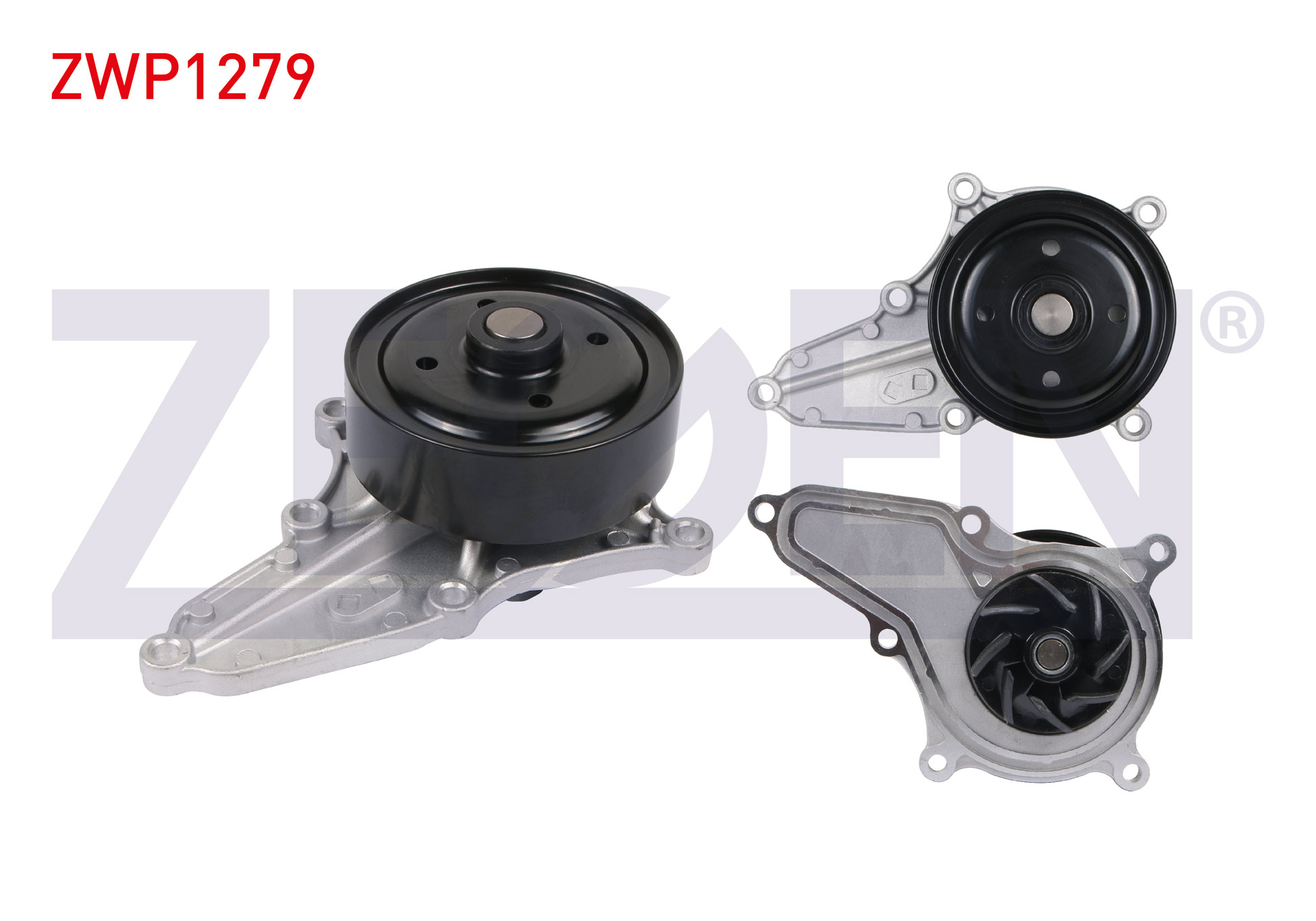 ZEGEN 987857