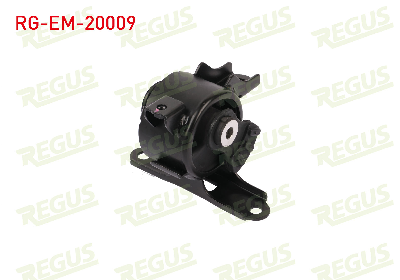 REGUS 61-10887
