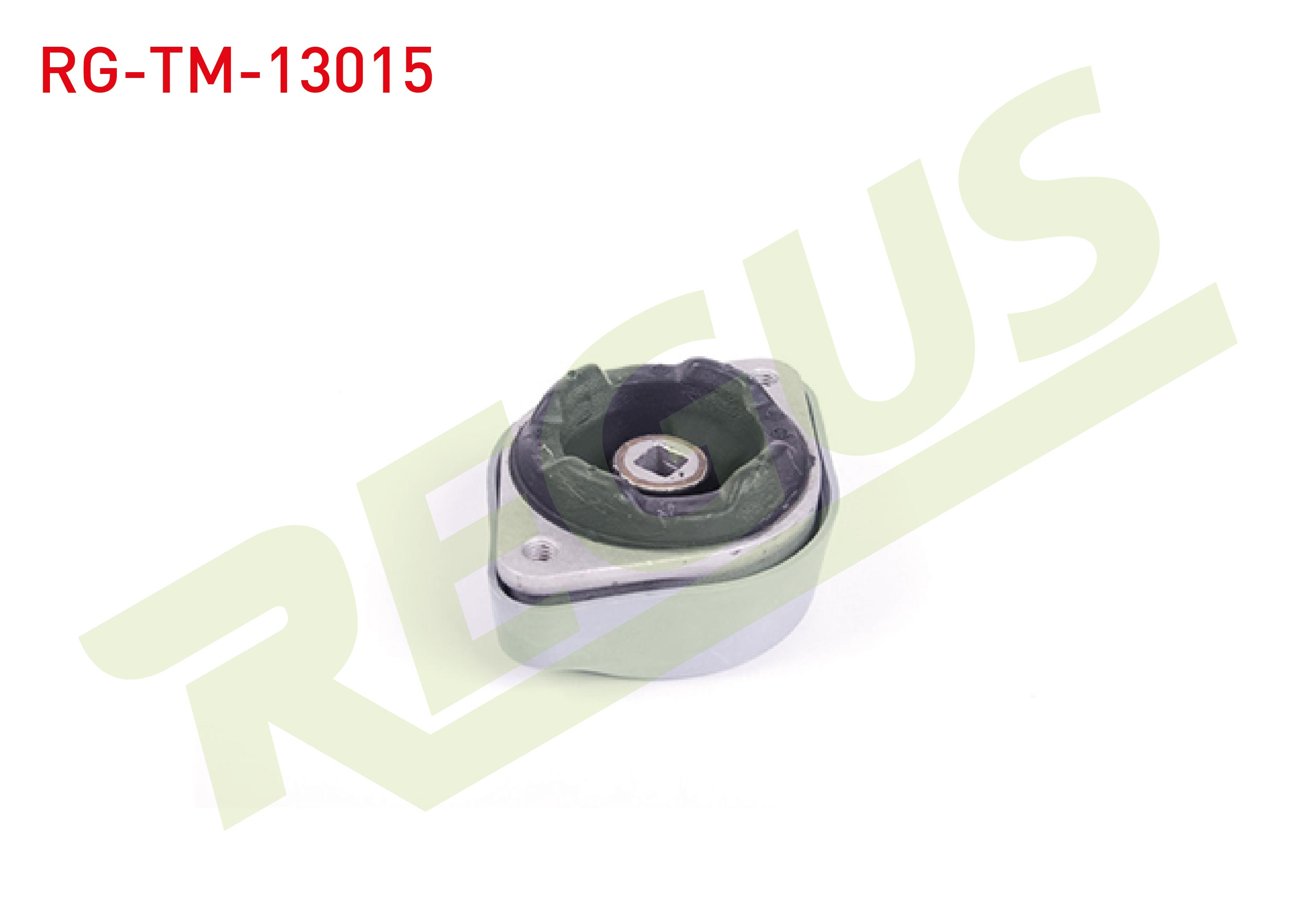 REGUS 62-06607