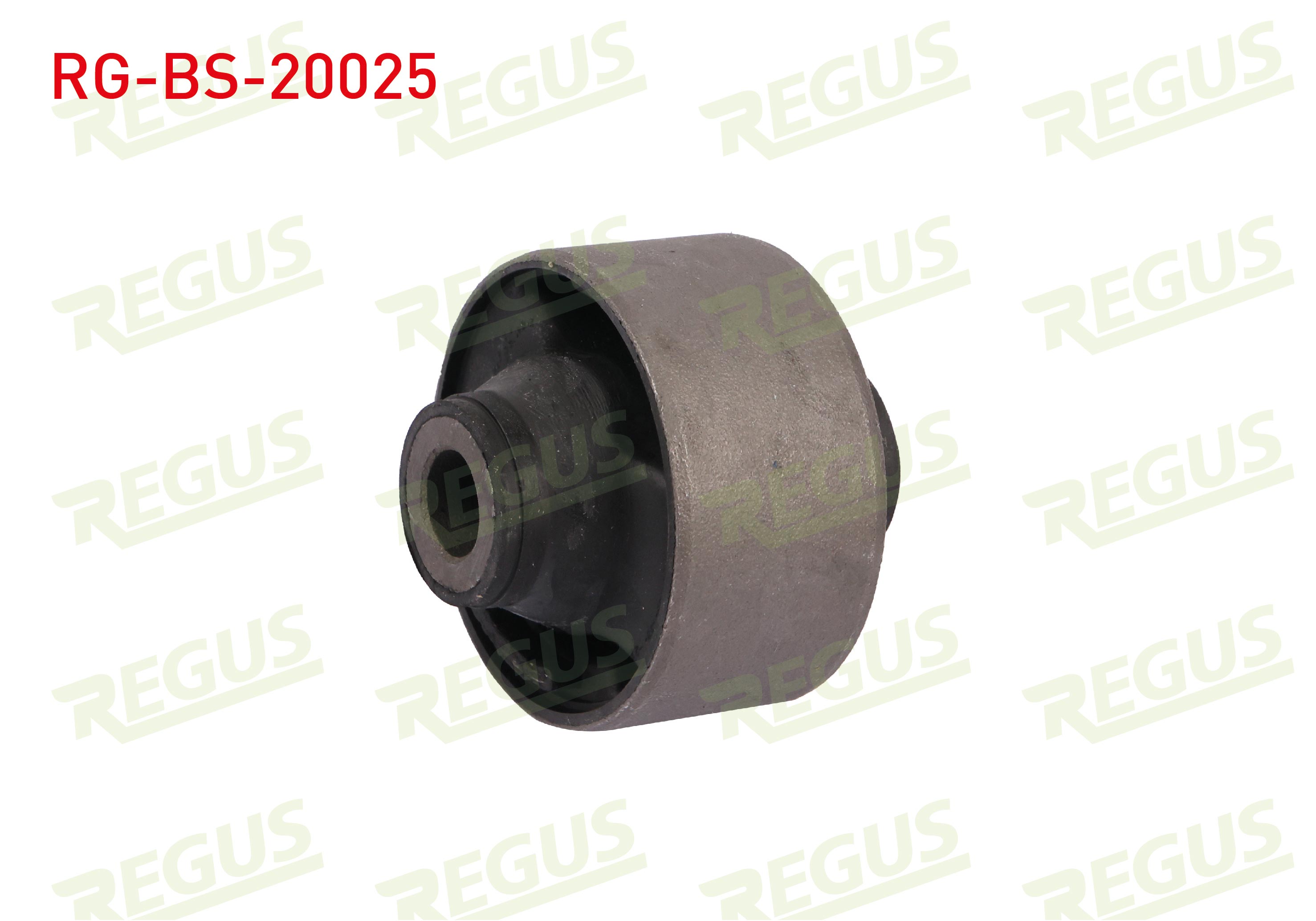 REGUS 42063