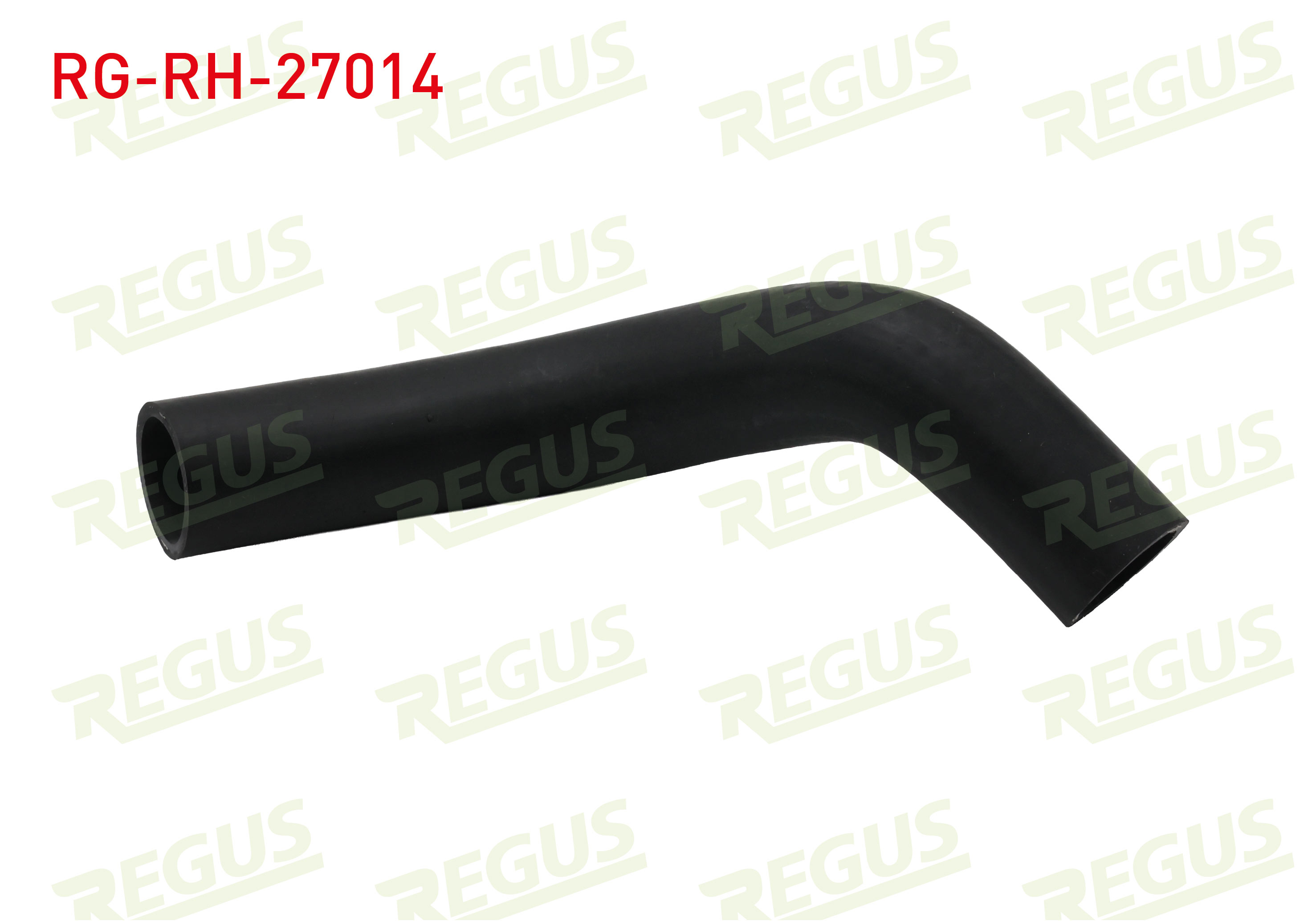 REGUS 