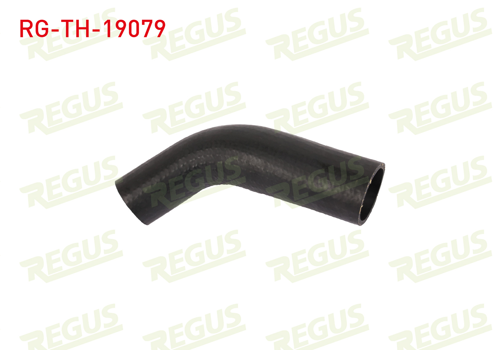REGUS 19866