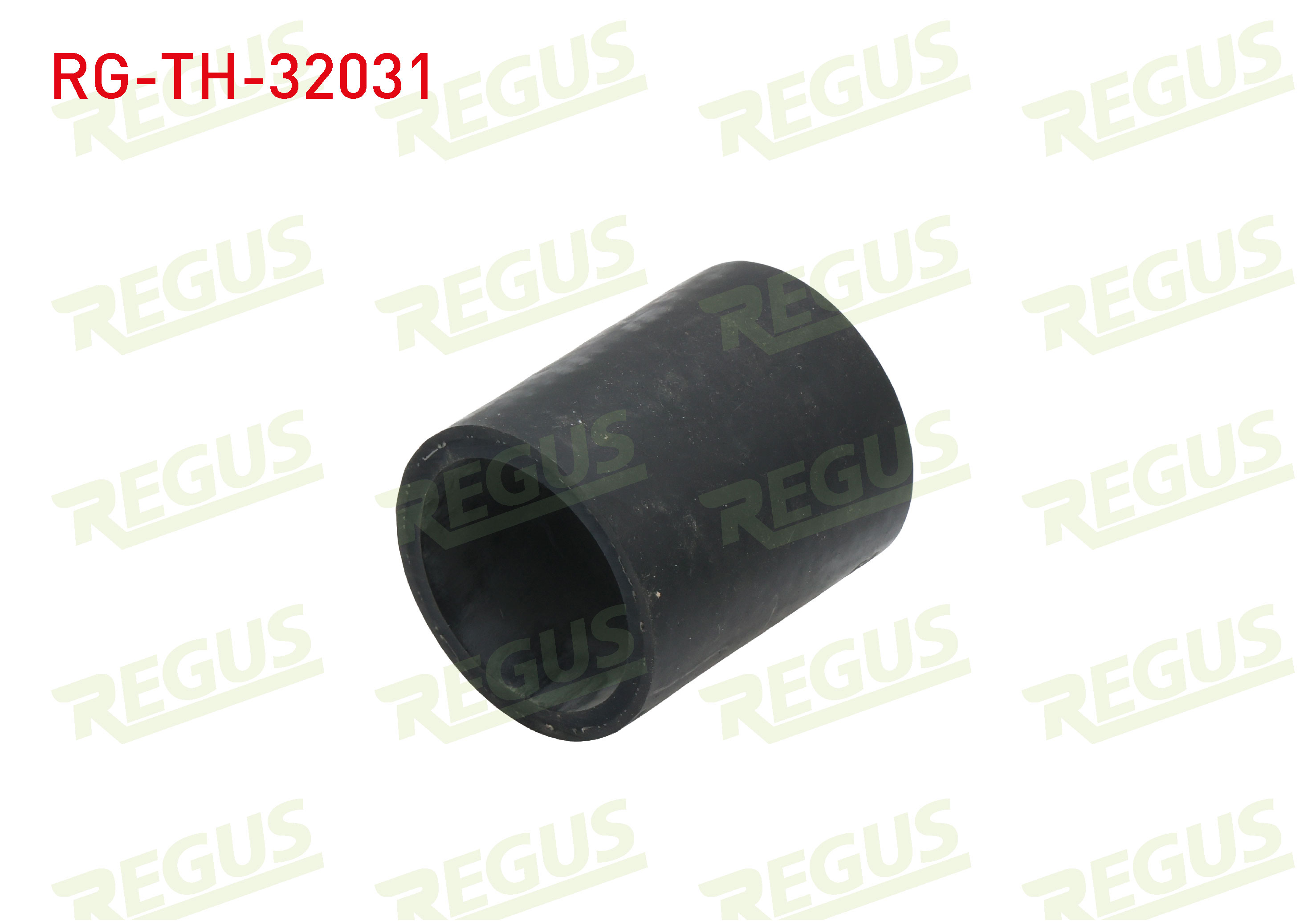 REGUS 21226