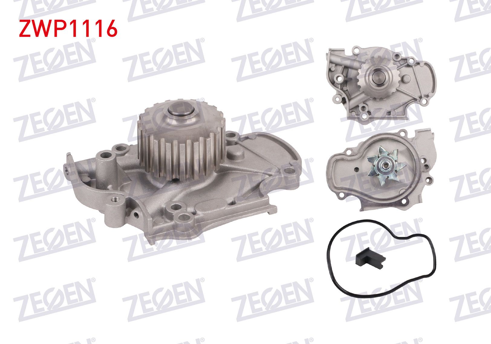 ZEGEN 981779