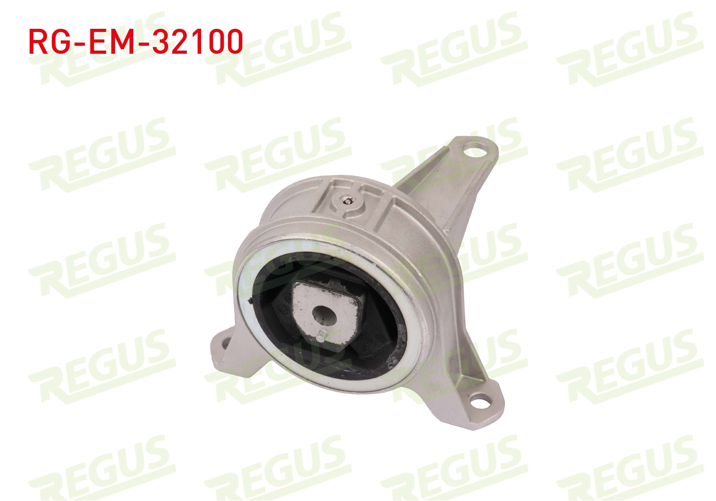 REGUS 32428