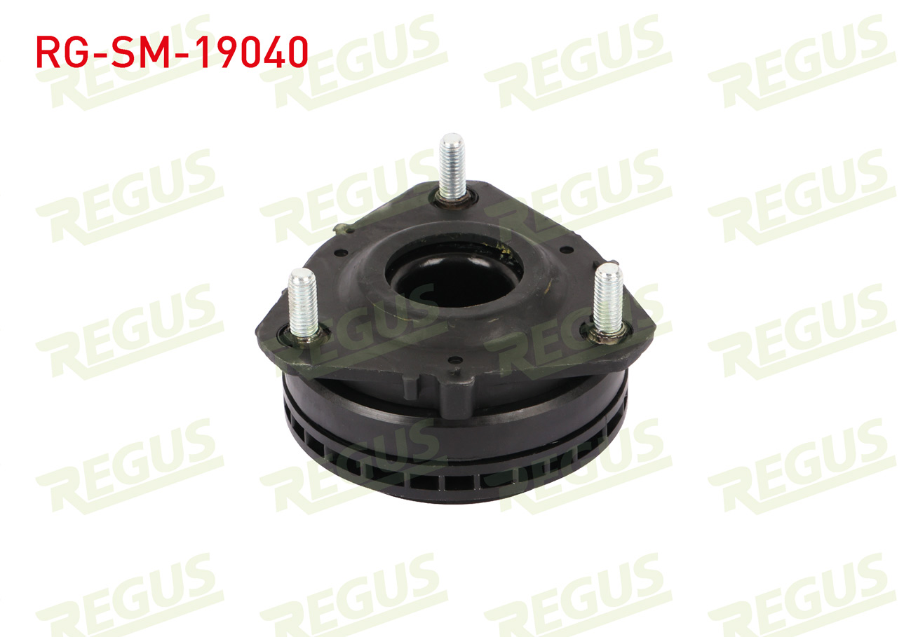 REGUS 63-06160