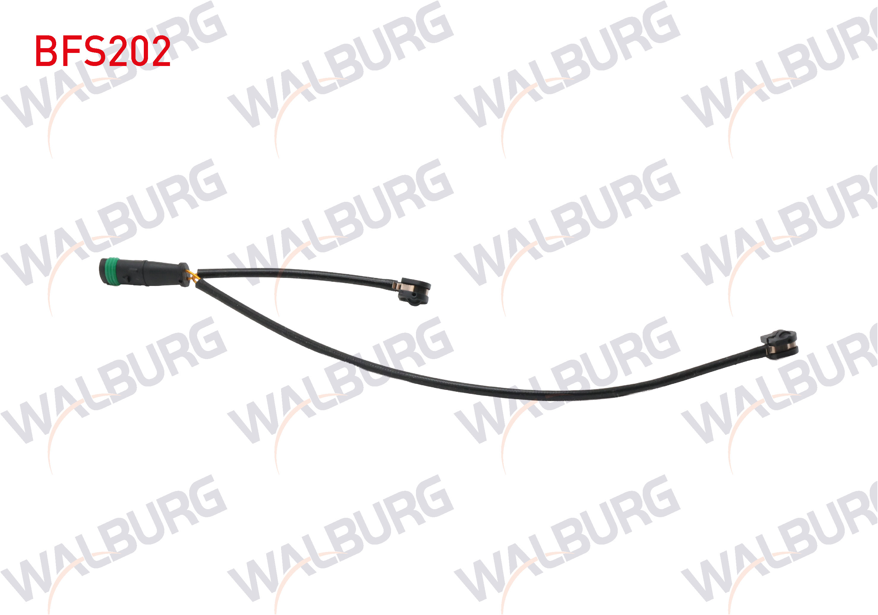 WALBURG 