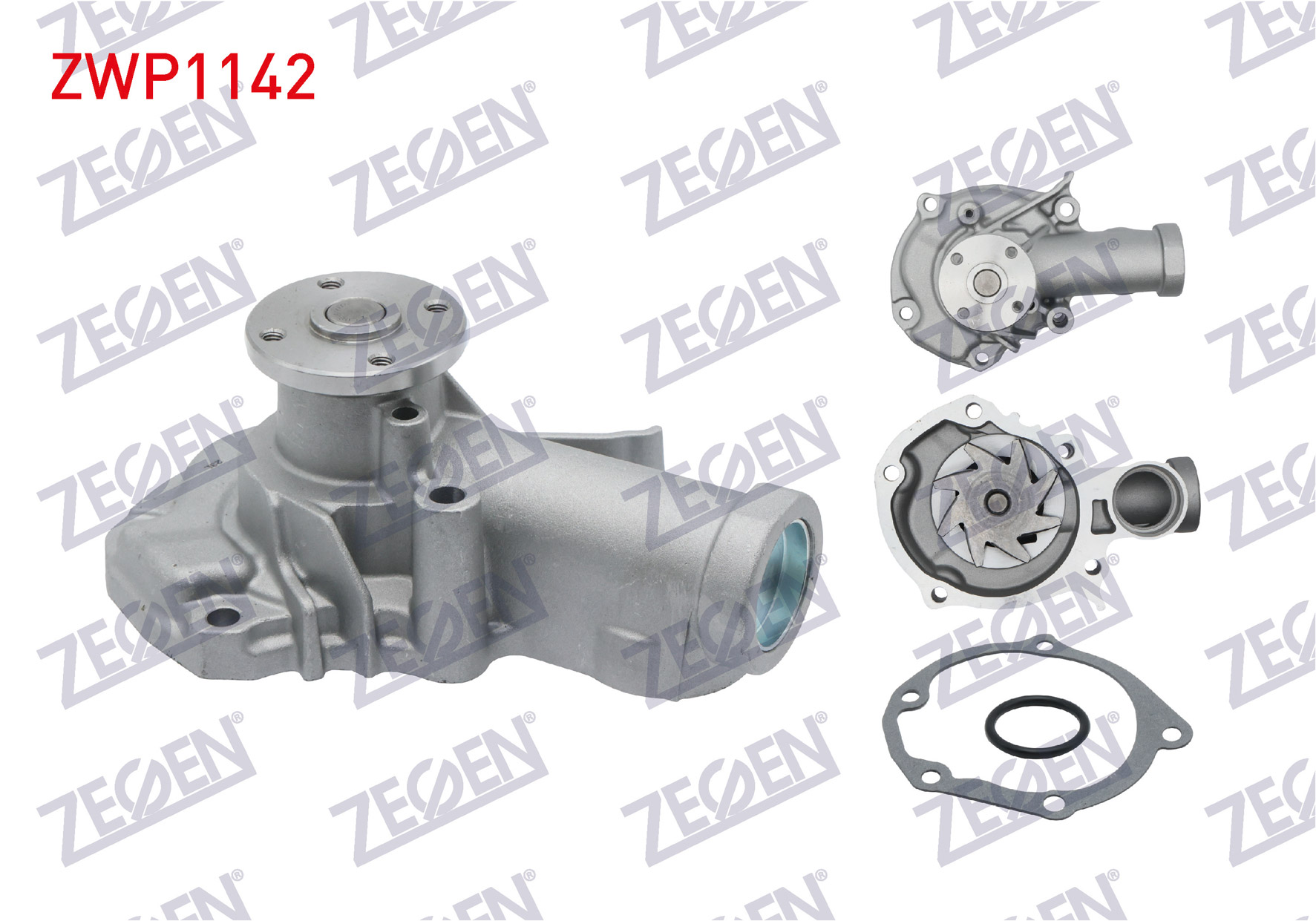 ZEGEN 987554