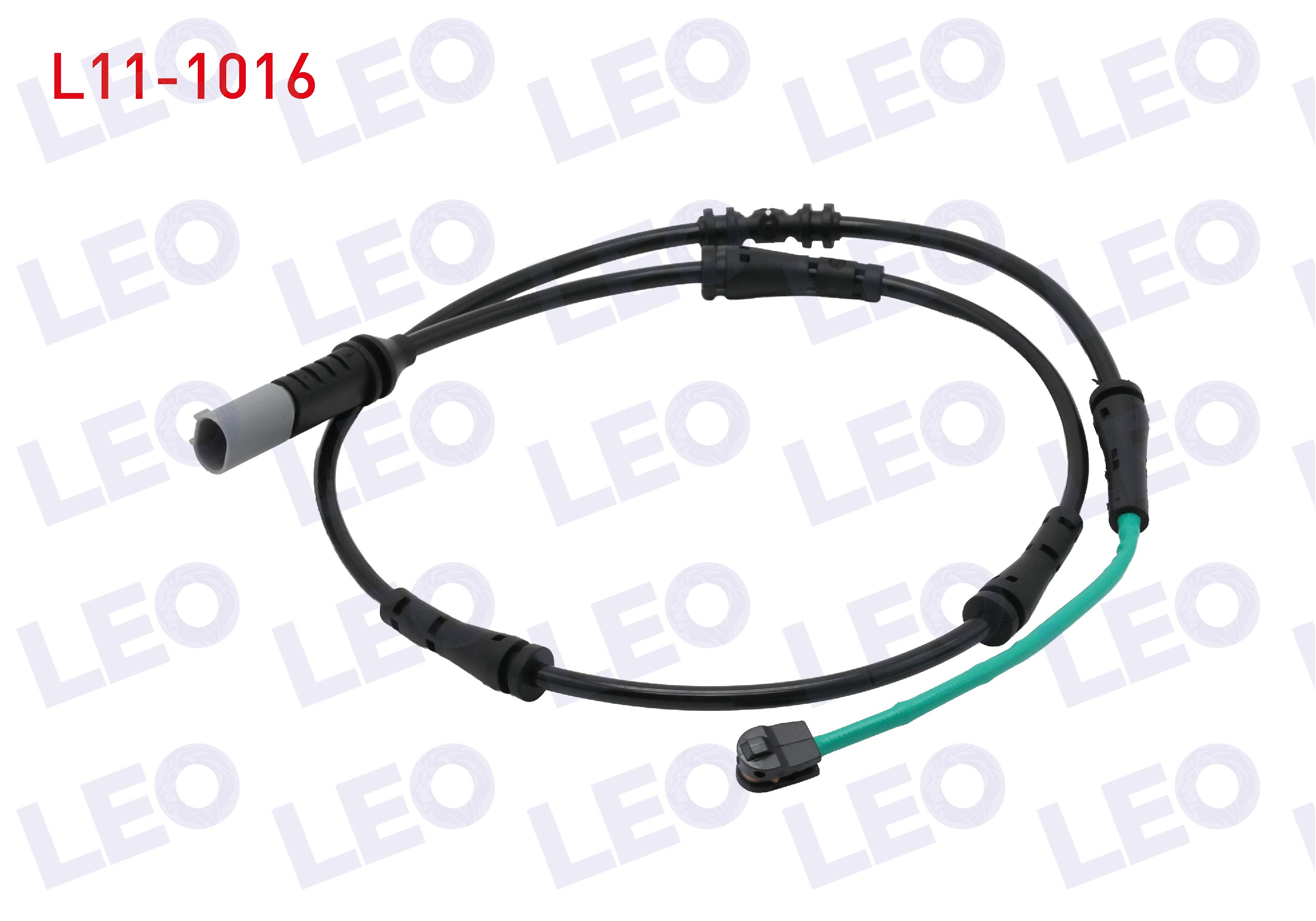 LEO 