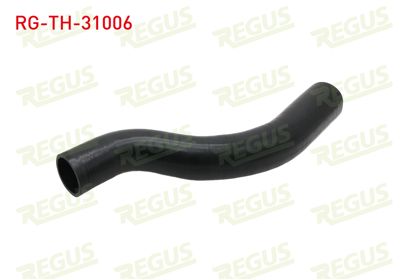 REGUS 25613