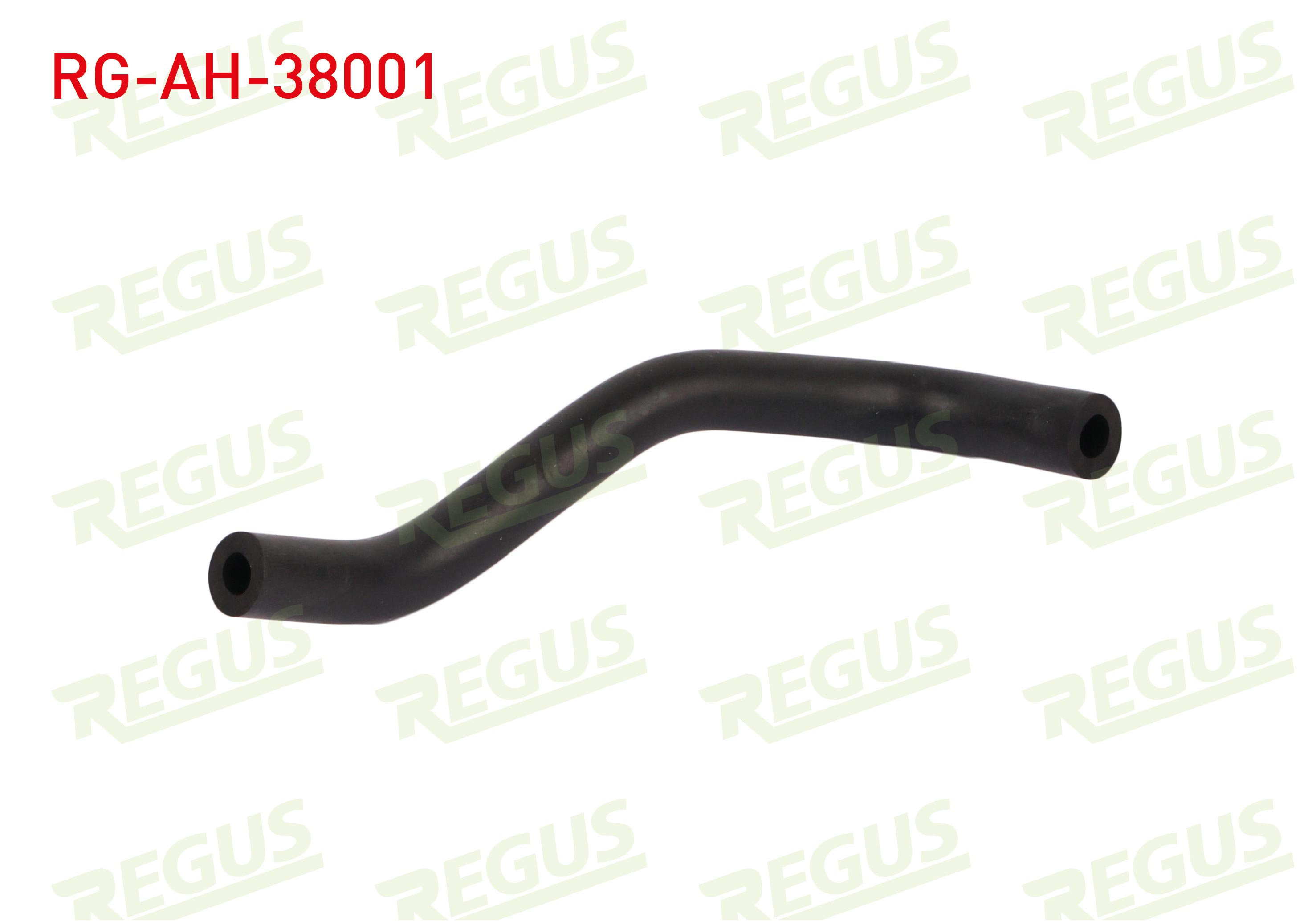 REGUS 27597