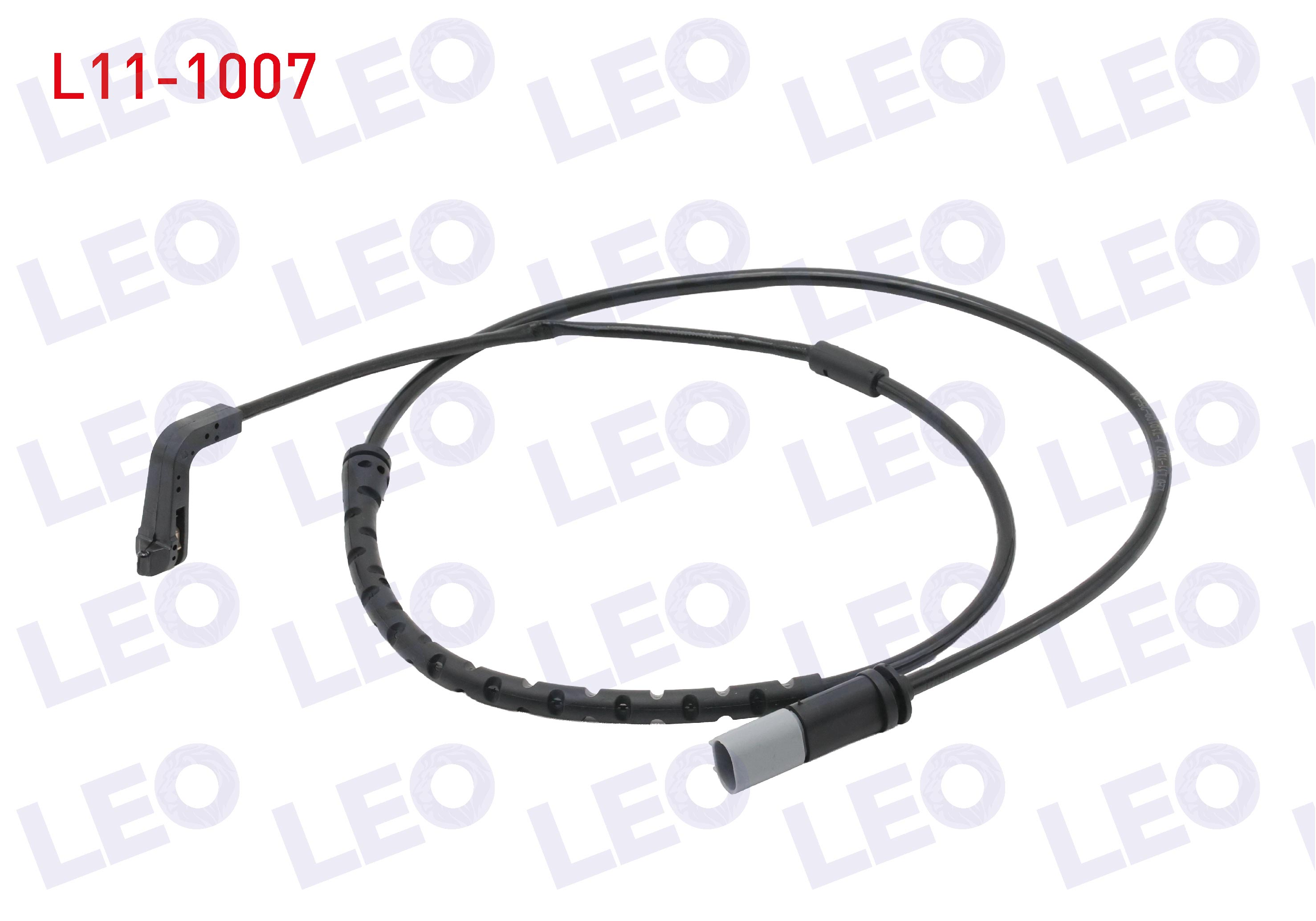 LEO 