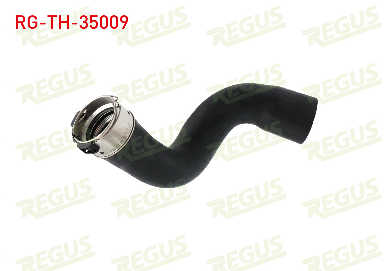 REGUS 11196