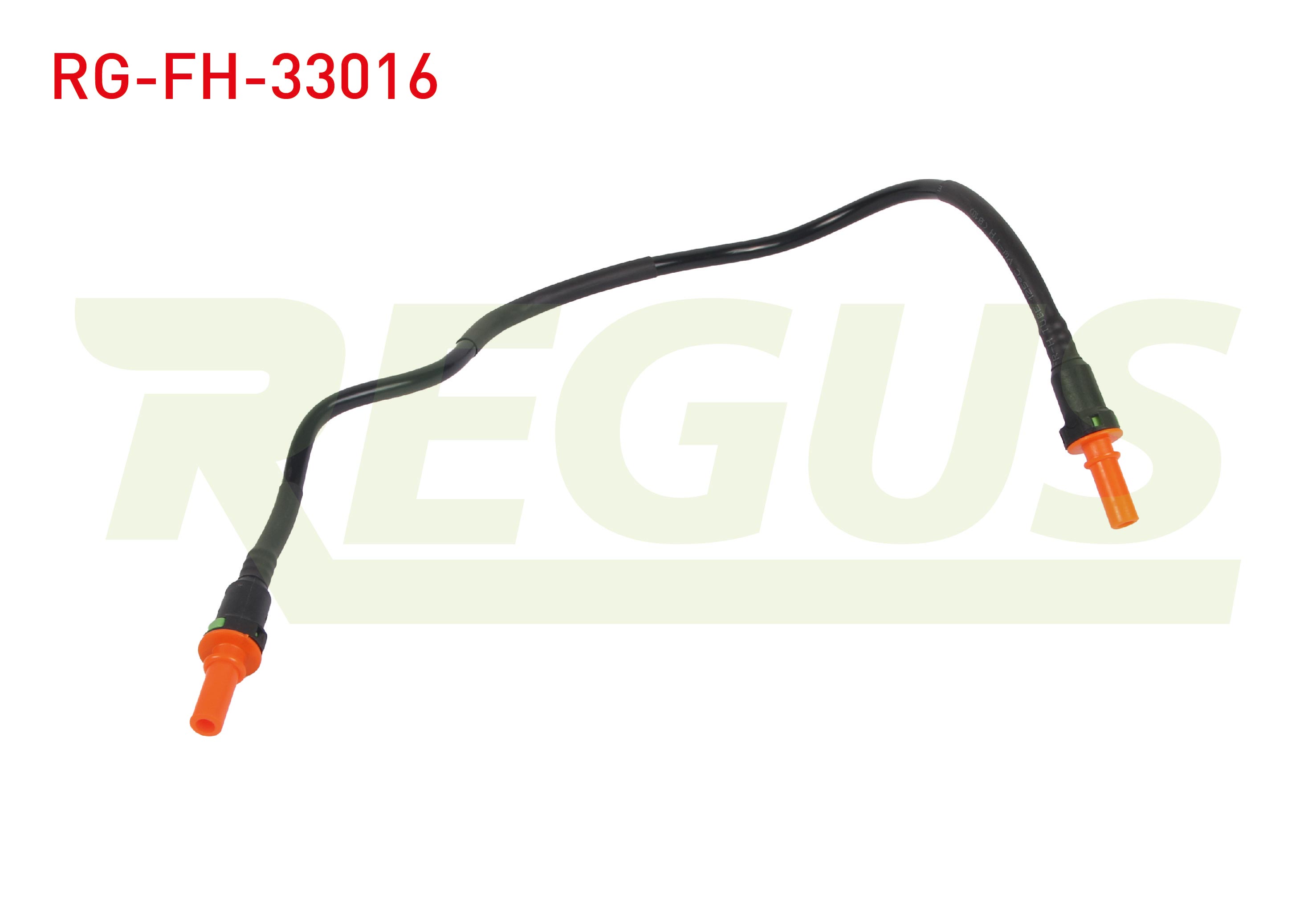 REGUS FT39561