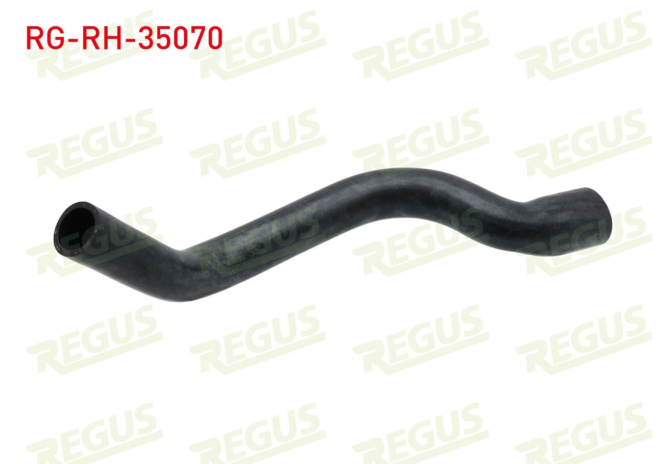 REGUS 11207