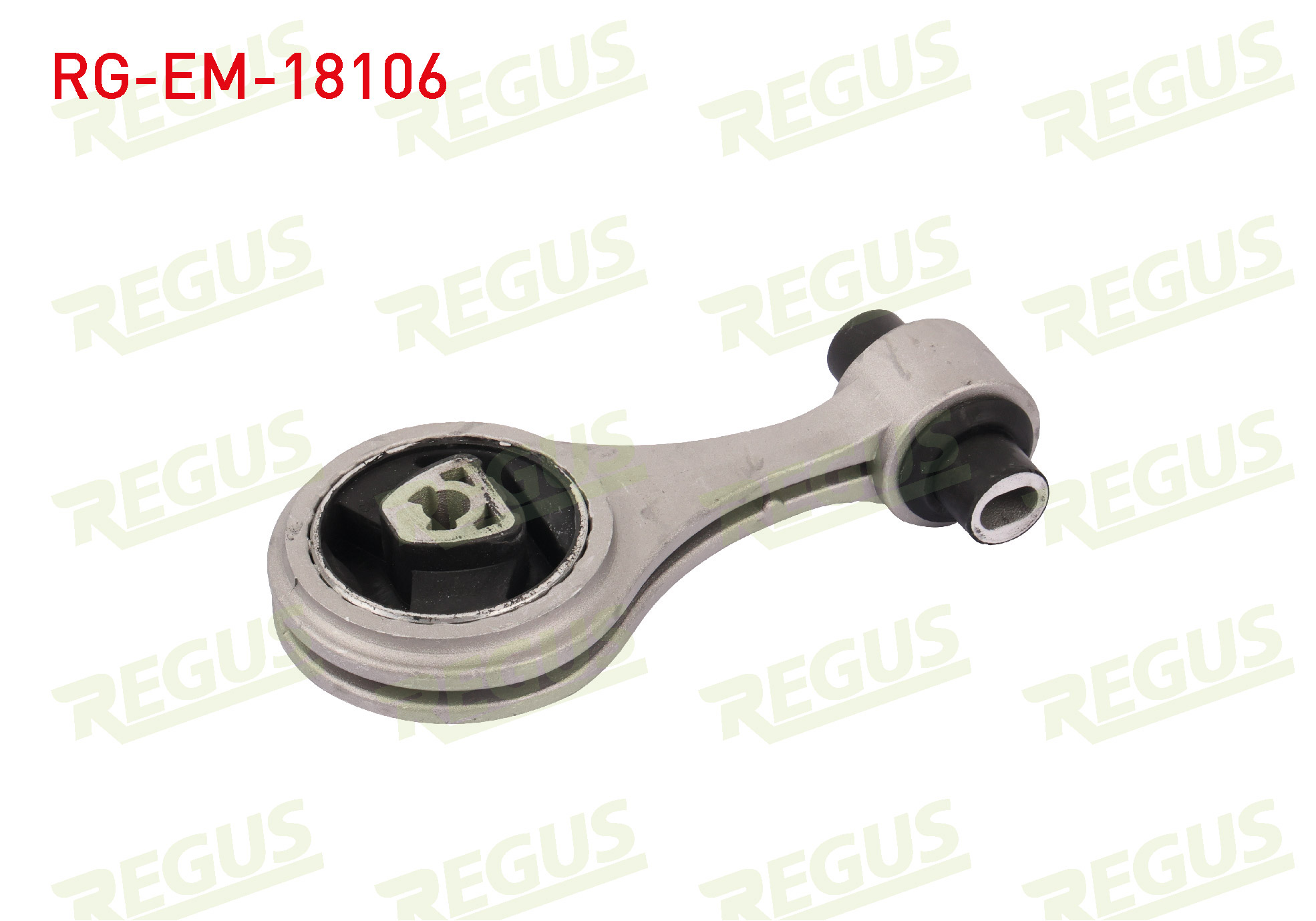REGUS 61-12004