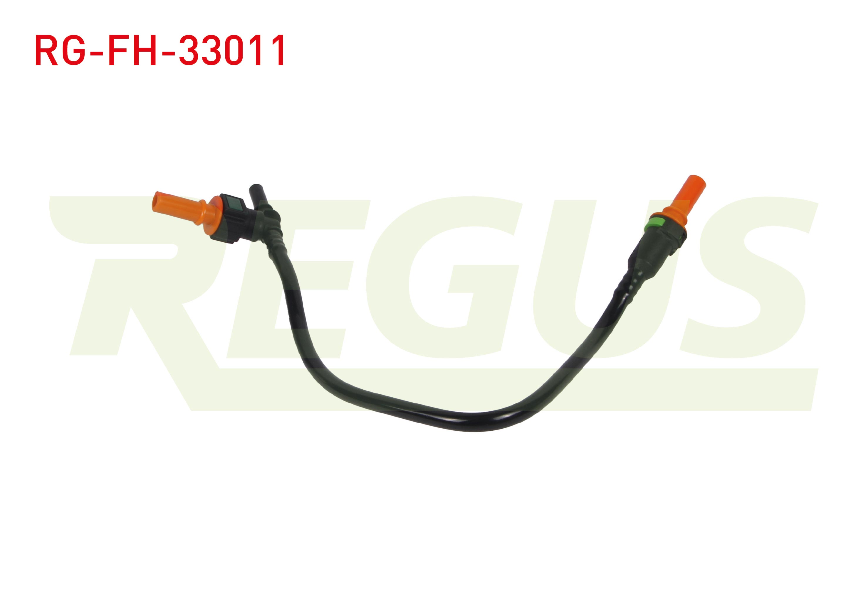 REGUS 17178