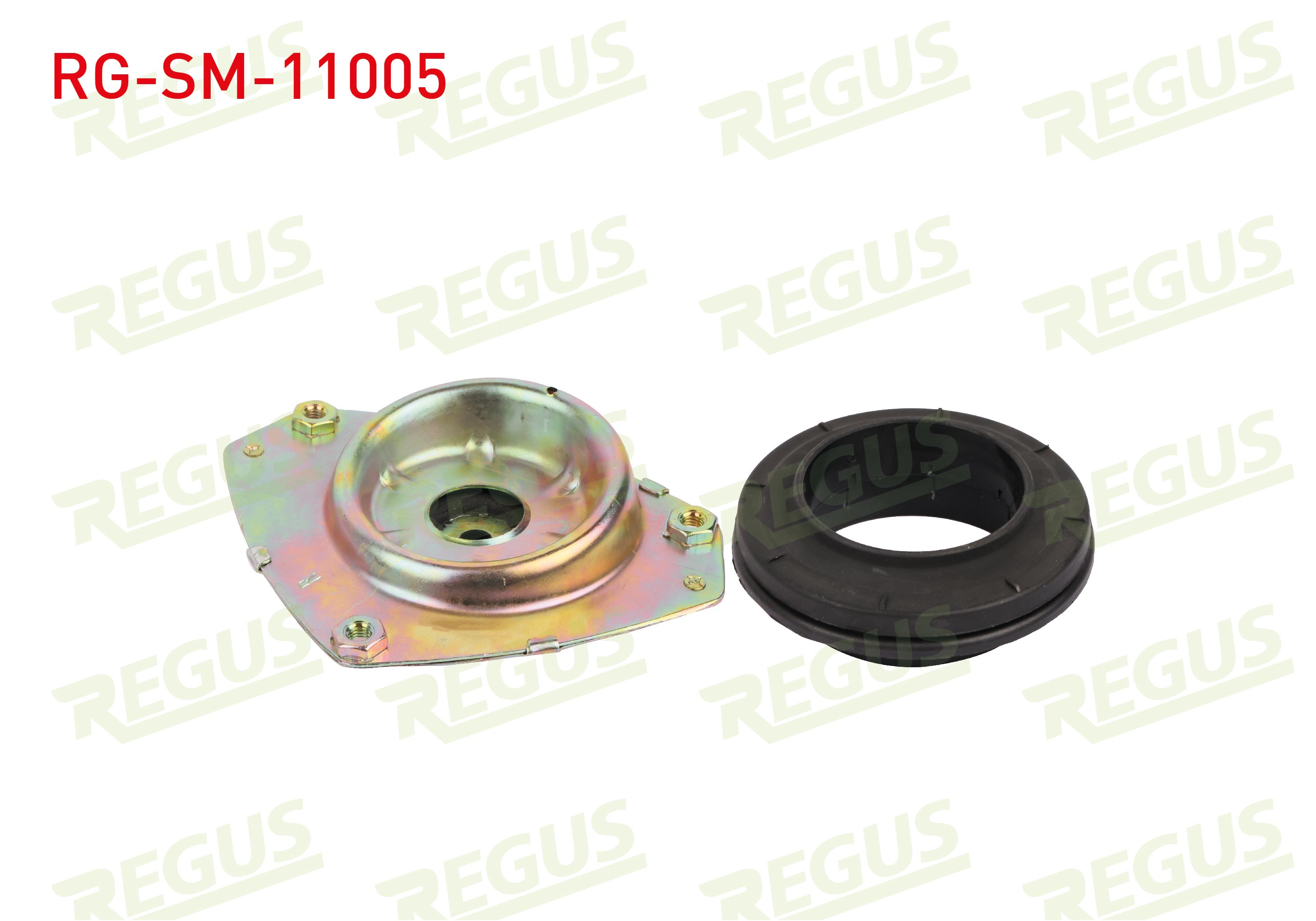 REGUS 63-13165