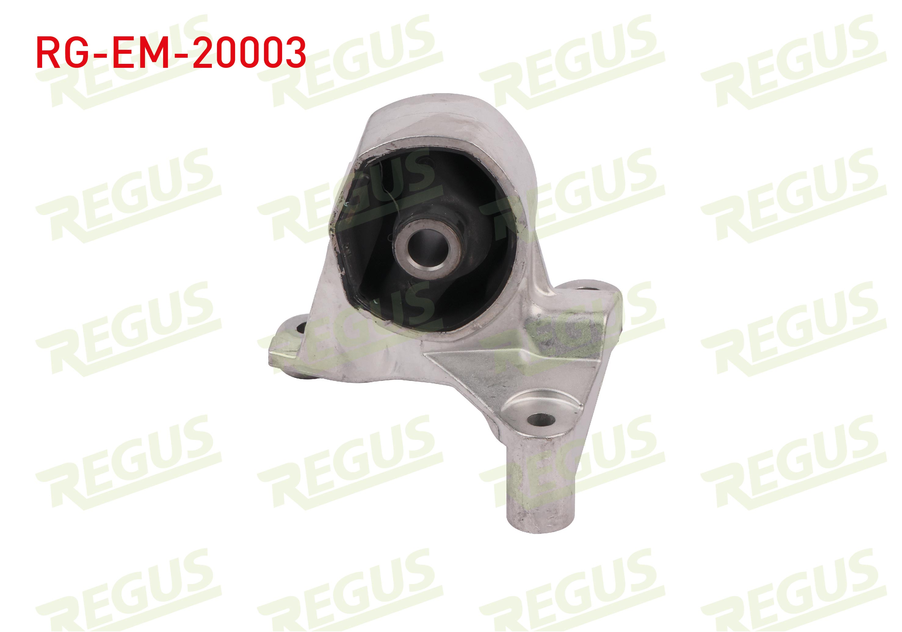 REGUS 61-06819
